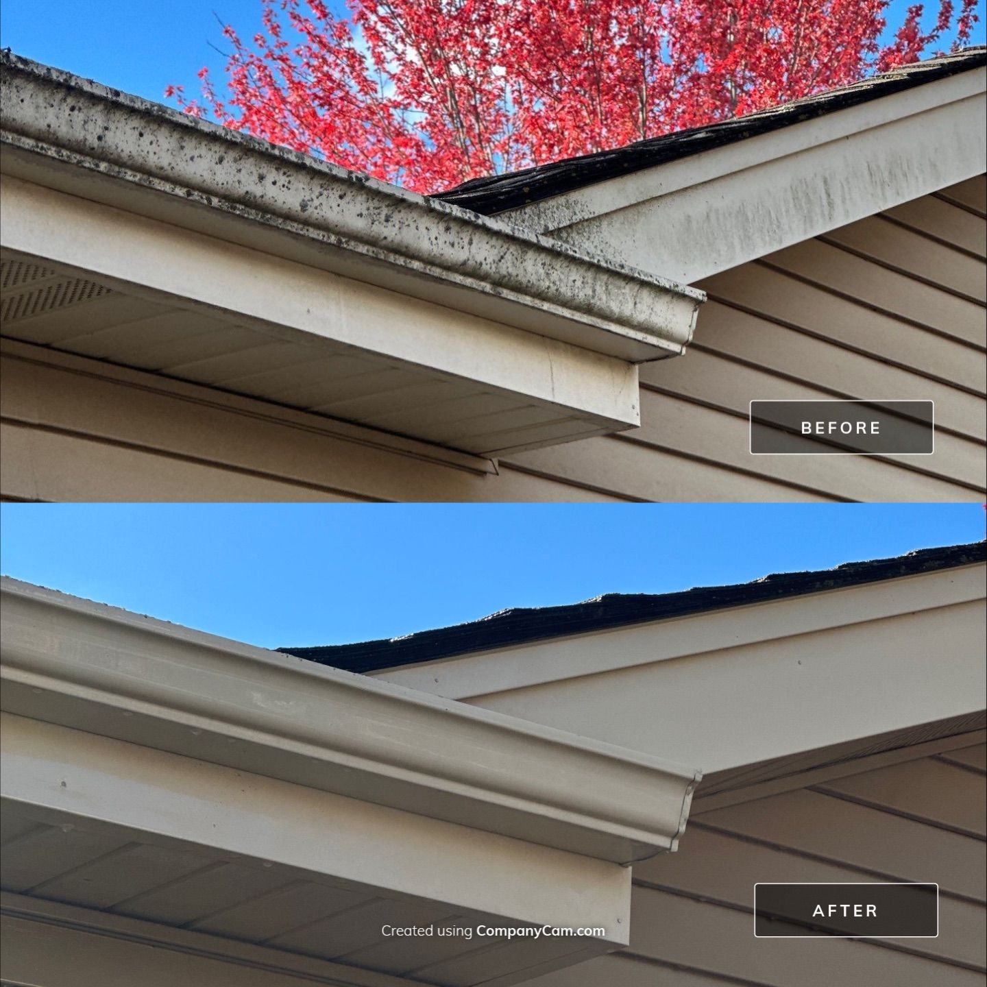 Project in Arlington Heights by Simmons Power & Soft Washing