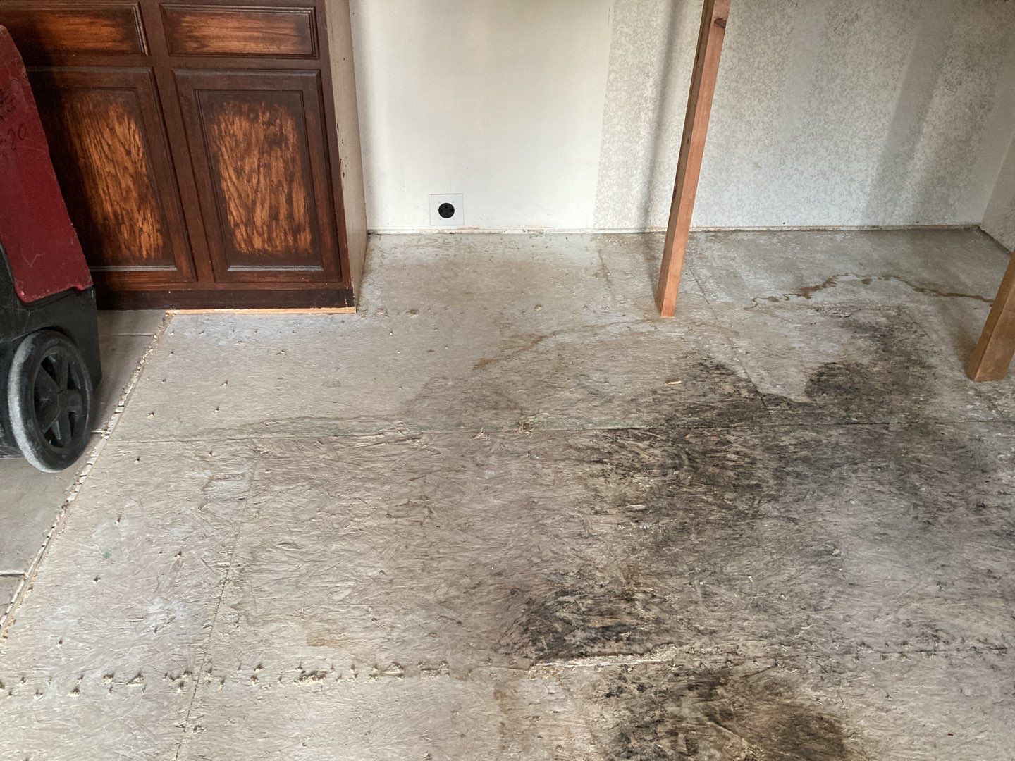 Mold Remediation in Kitchen by Accountable Home Services