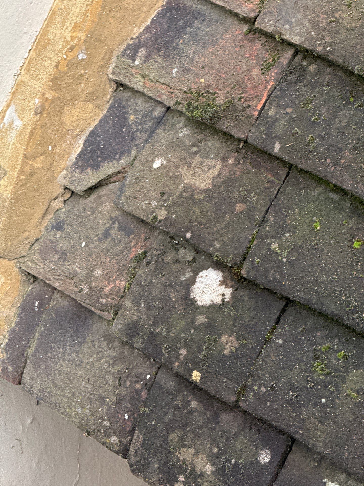 Roof and Patio Cleaning using Honda 15lpm Low Pressure Washing Machine by Ges Exterior Cleaning ltd