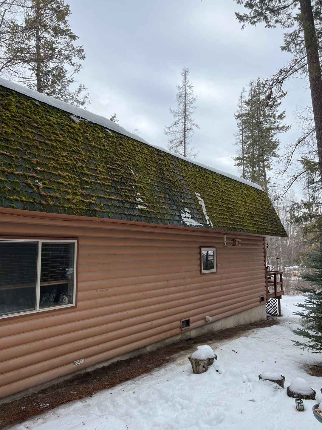 GAF Timberline HDZ - Hunter Green by Montana Roofing Solutions
