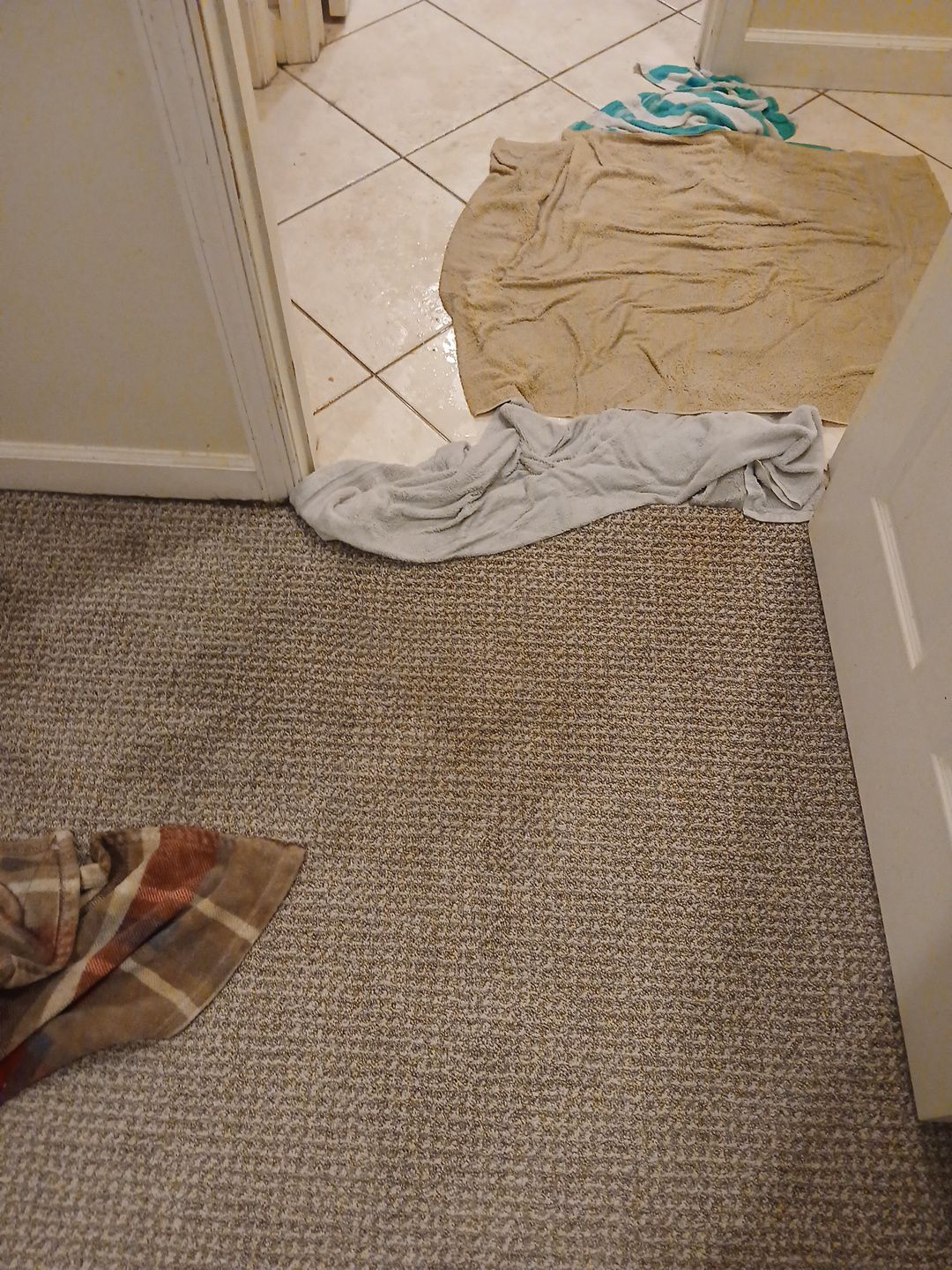 Water Damage Mitigation and Thermal Moisture Inspection in Port St. Lucie by SuperClean