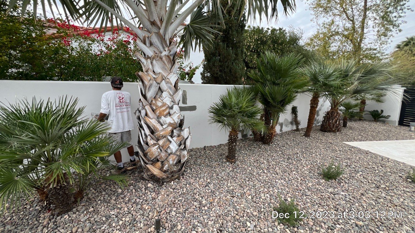 Exterior Painting - Paradise Valley by Crash of Rhinos Painting & Garage Floors