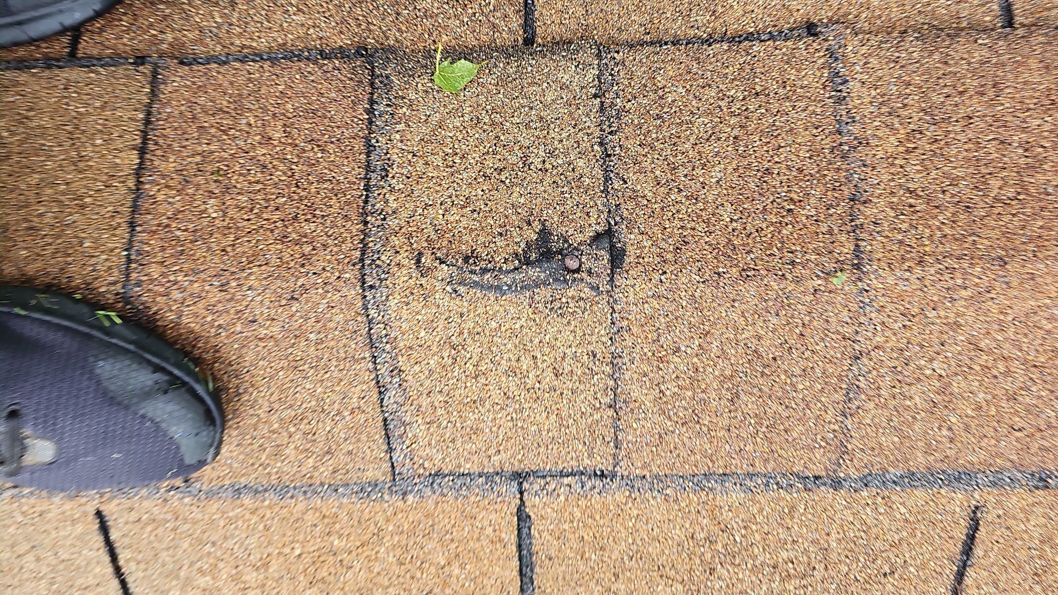 Atlas Pinnacle, Color, Copper Canyon, Drip Edge, Color, Royal Brown by Eagle Eye Roofing