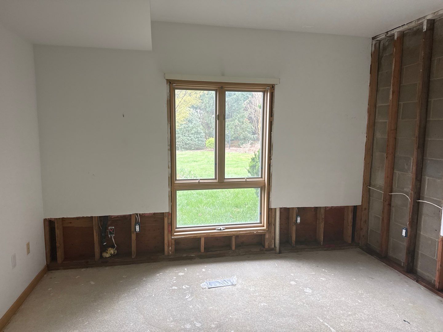 Mold Remediation & Moisture Source Discovery, Middletown, De. by Healthy Home Solutions