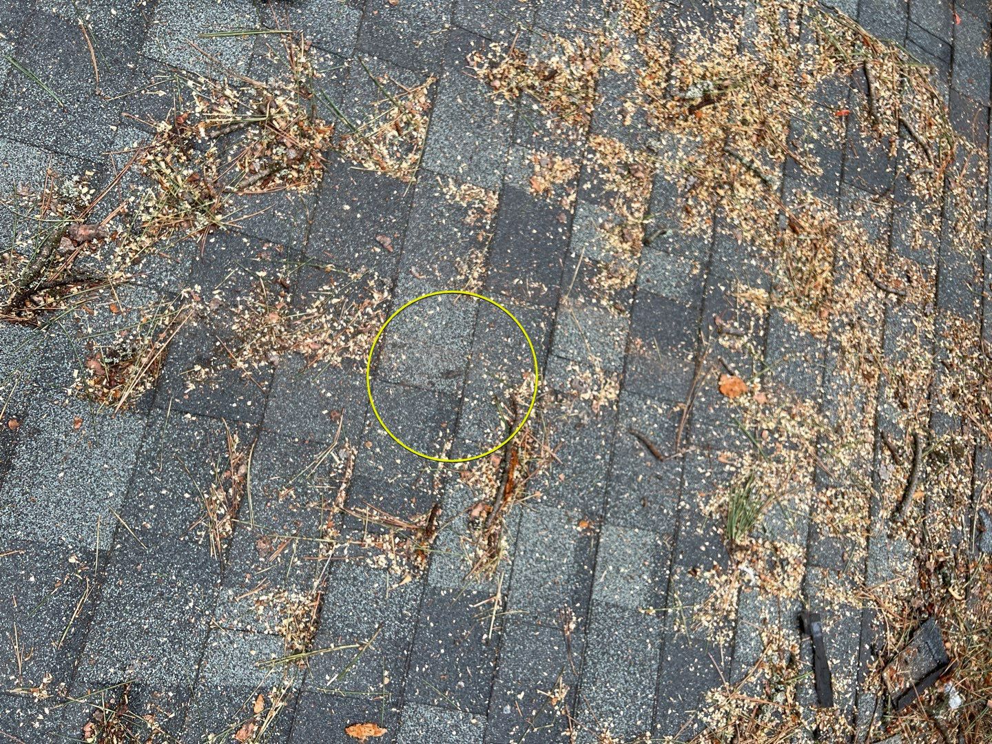 Green Snap Lock Standing Seam  by Montana Roofing Solutions