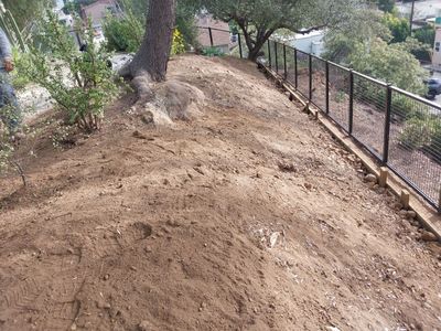 Project in Los Angeles