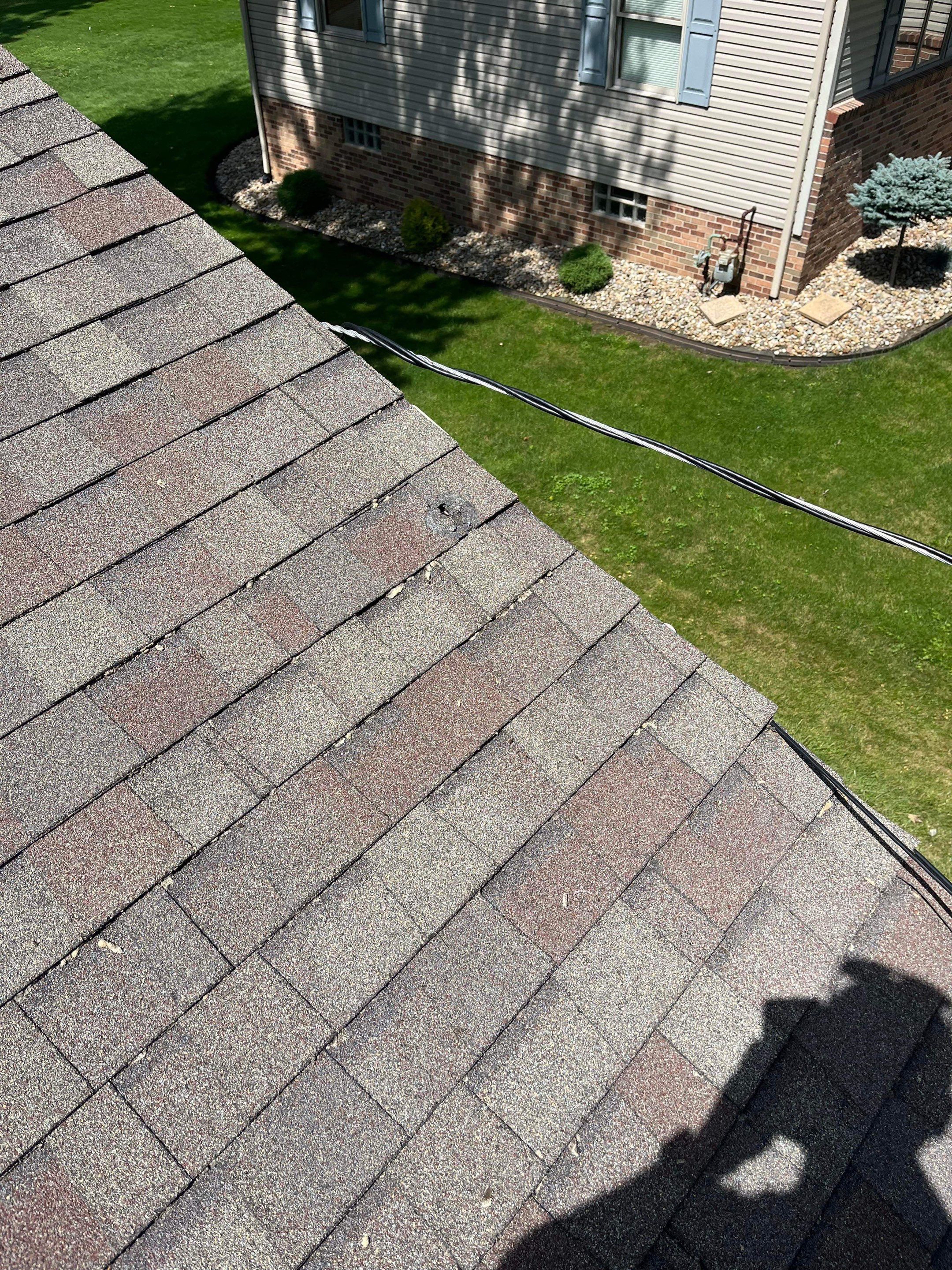 Diane Krocker by Silver Leaf Contracting 