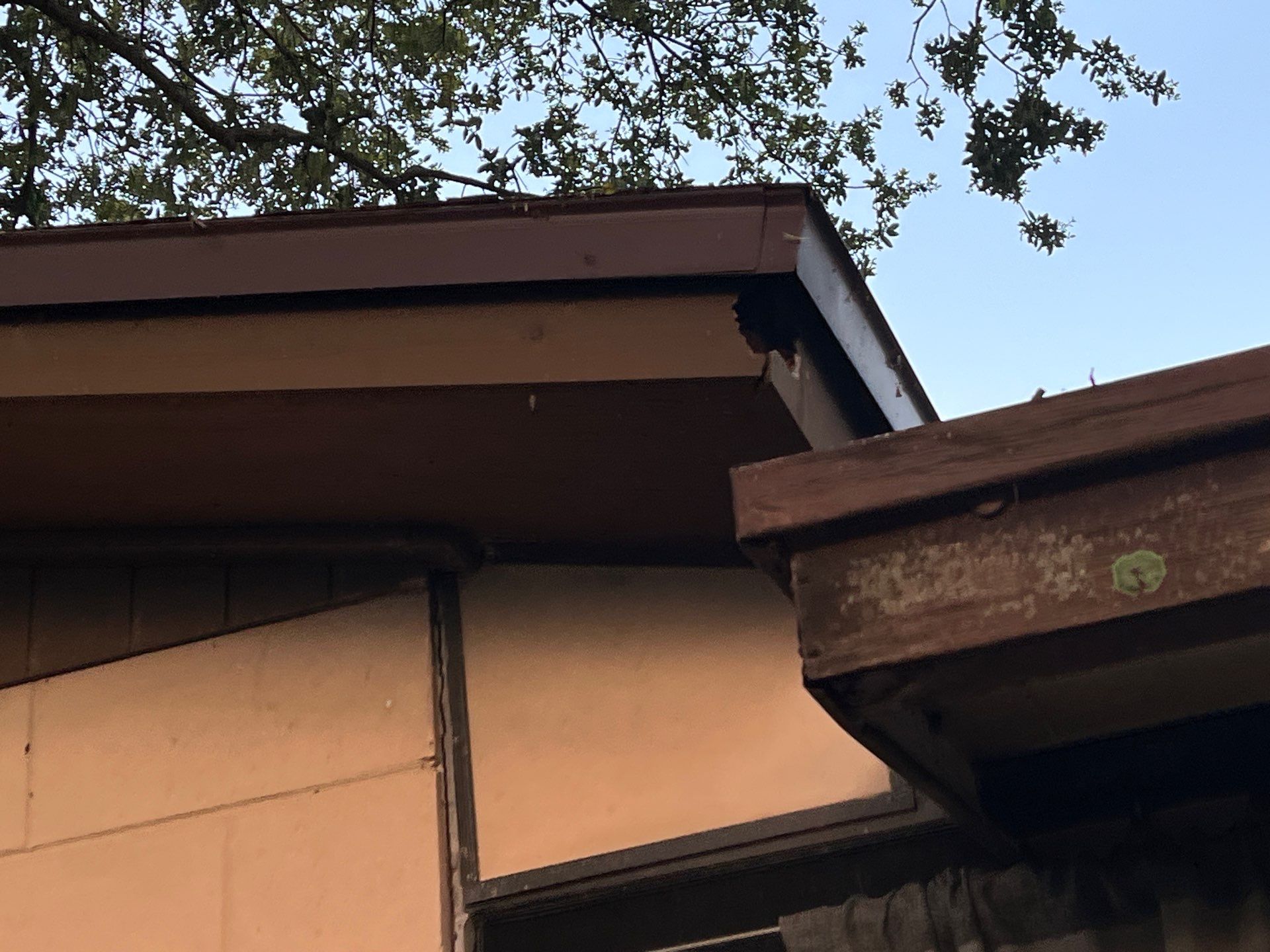 Project in Oldsmar 34677 by Mitchell Roofing Company LLC