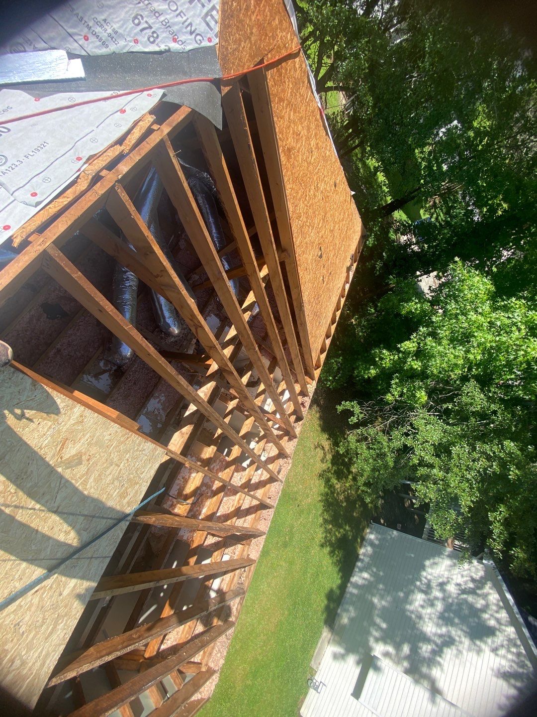 Rotten Wood by Roof Bullies