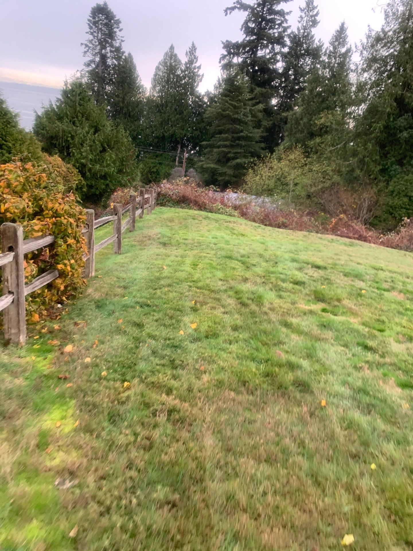 Sport Court |  Port Orchard by Jireh Asphalt & Concrete Inc 