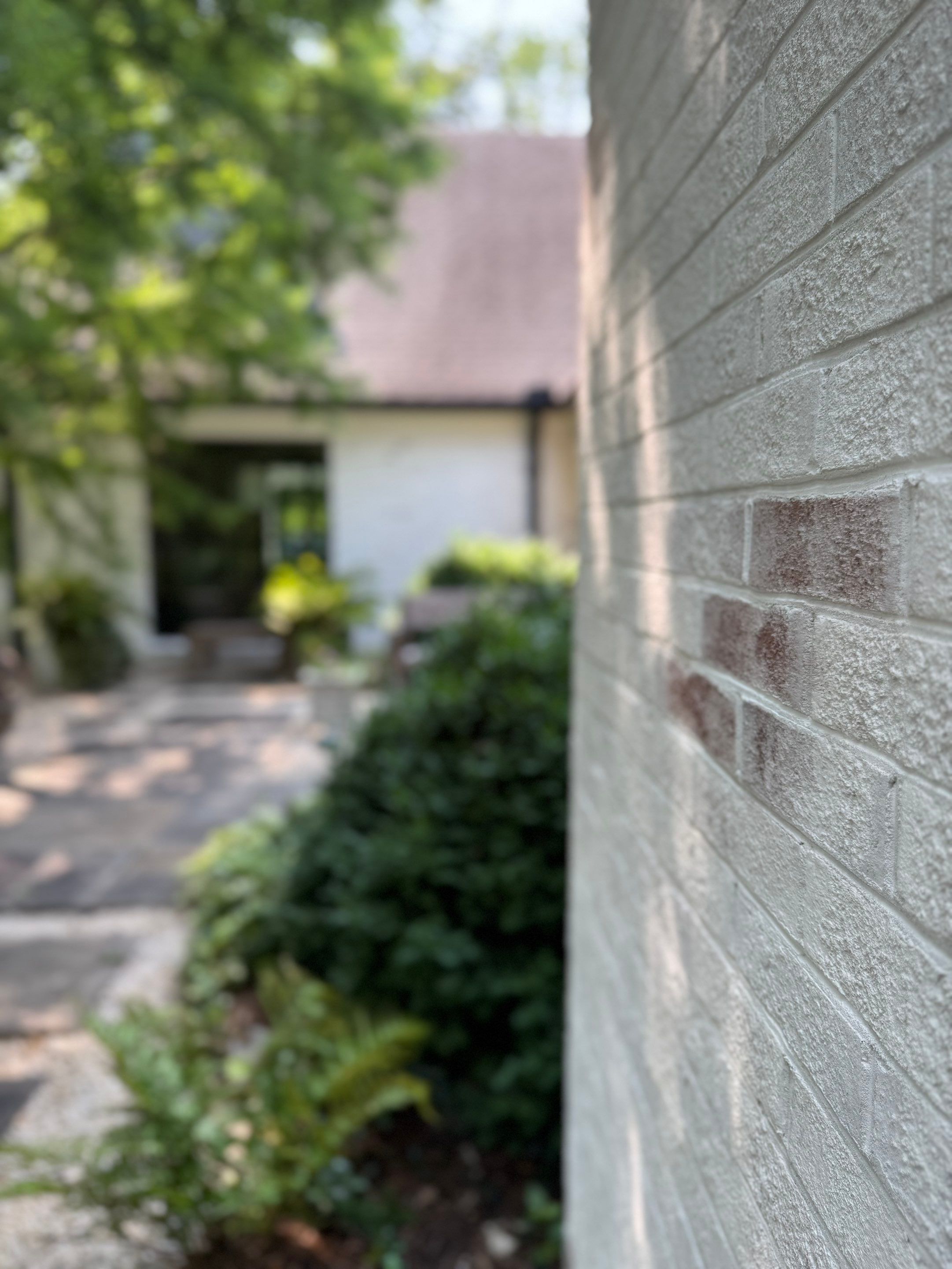 Romabio Classico Limewash - Spartanburg, SC by Renew Painting