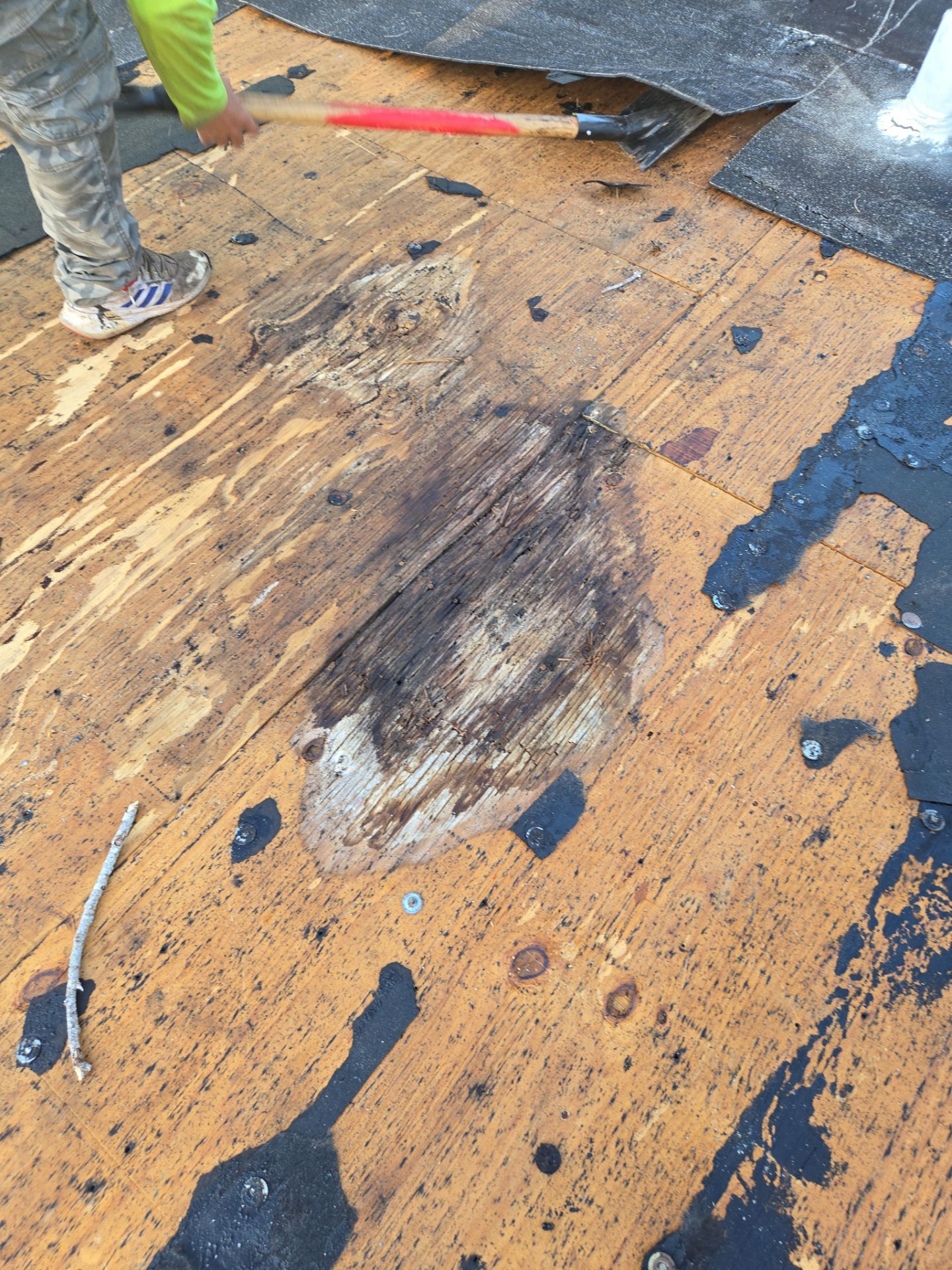 Project in St. Petersburg 33705 by Mitchell Roofing Company LLC 