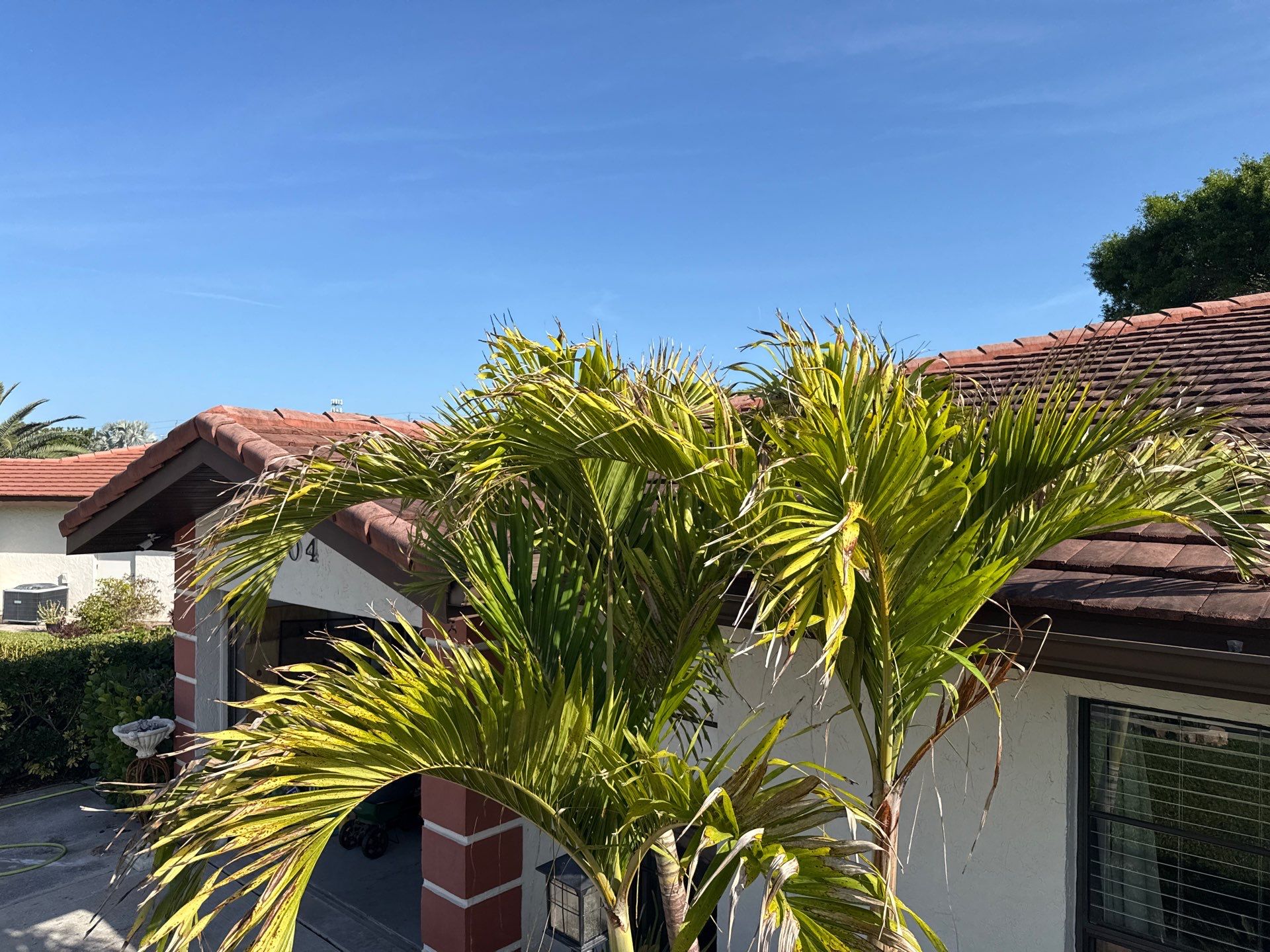 Tile Roof Cleaning in Vivienda at Bradenton, FL | No Roof Walking Method by Sunshine AquaWash