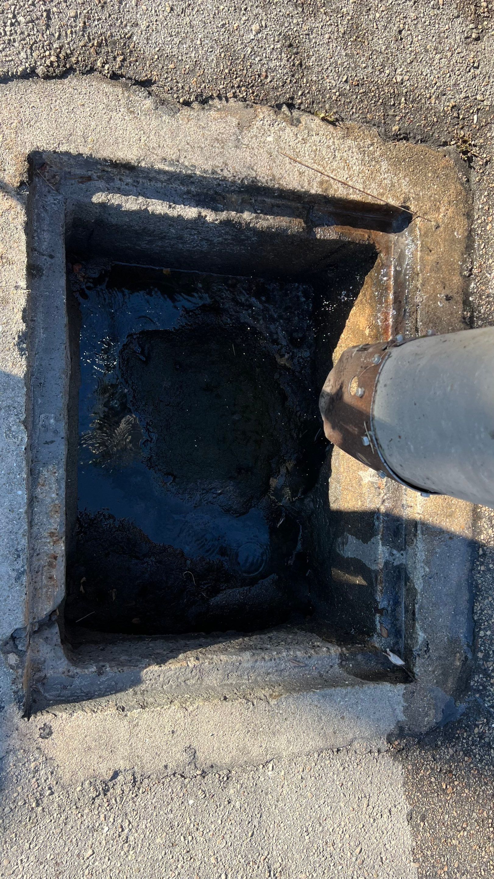 Stromwater System Maintenance at Bill Smith Appliances / Critter Cafe Marco Island Catch Basin by Don Mar, Inc. Storm Water Solutions