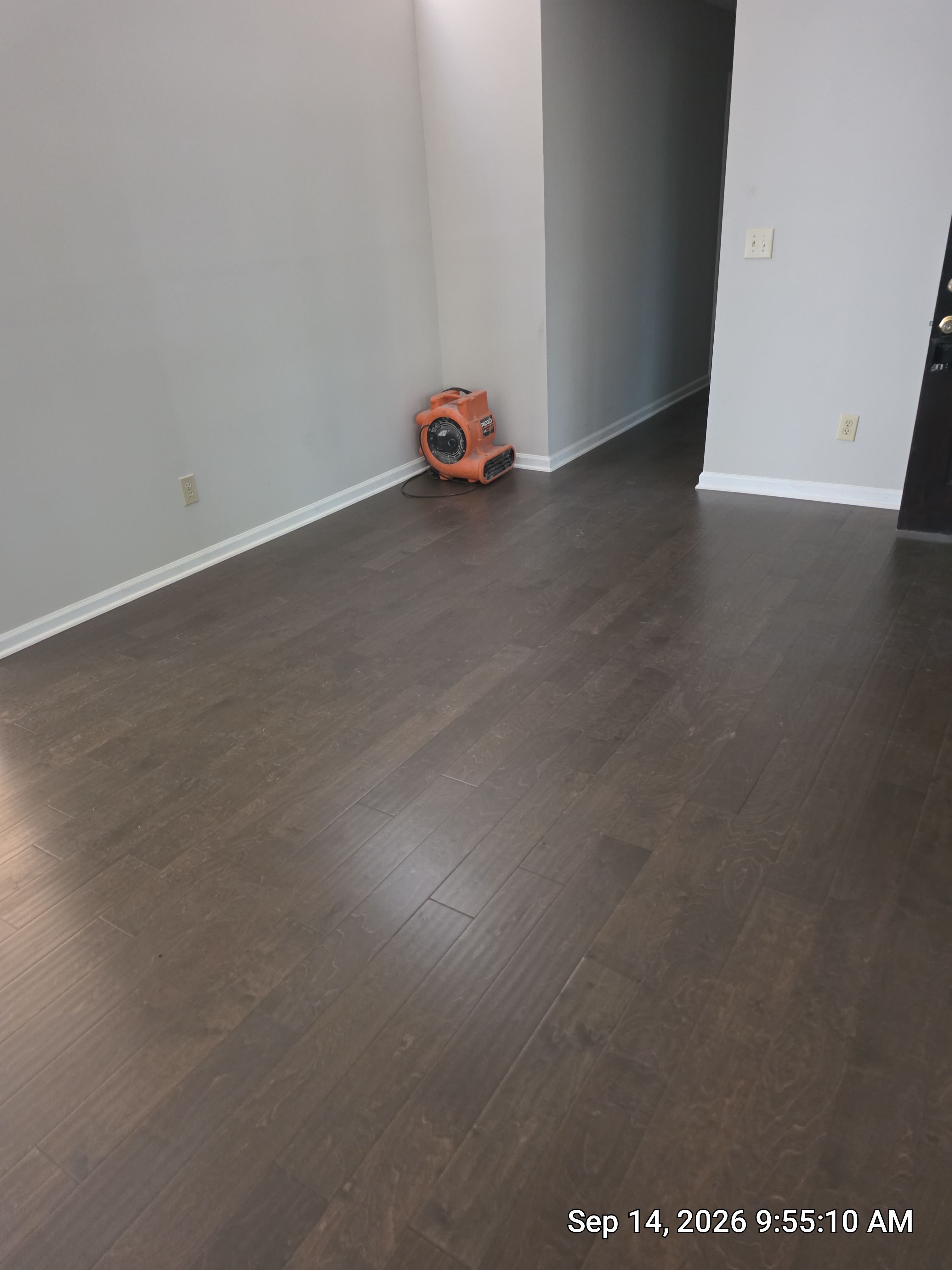 Full Home Subfloor Restoration and Luxury Vinyl Flooring Installation by Flooring Xpress CO