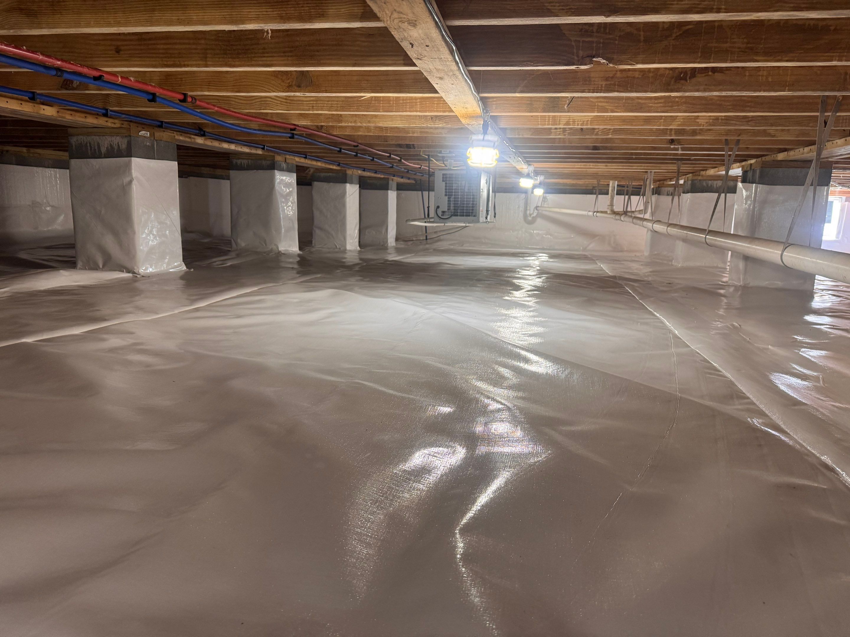 Premium Encapsulation with 20Mil, Borafoam insulation and Light System. by Impact Crawlspace