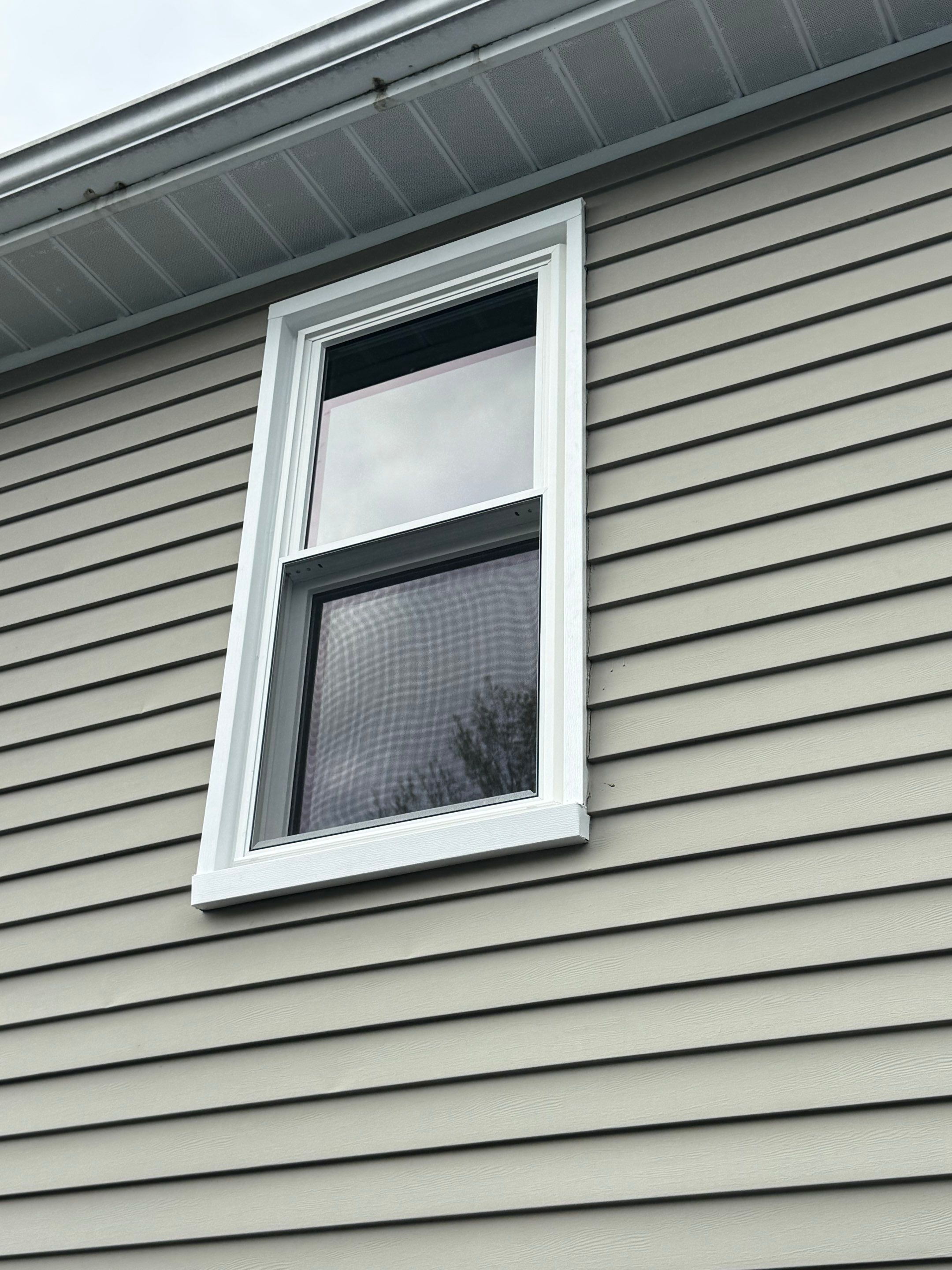 Windows in Steubenville by Ohio State Windows