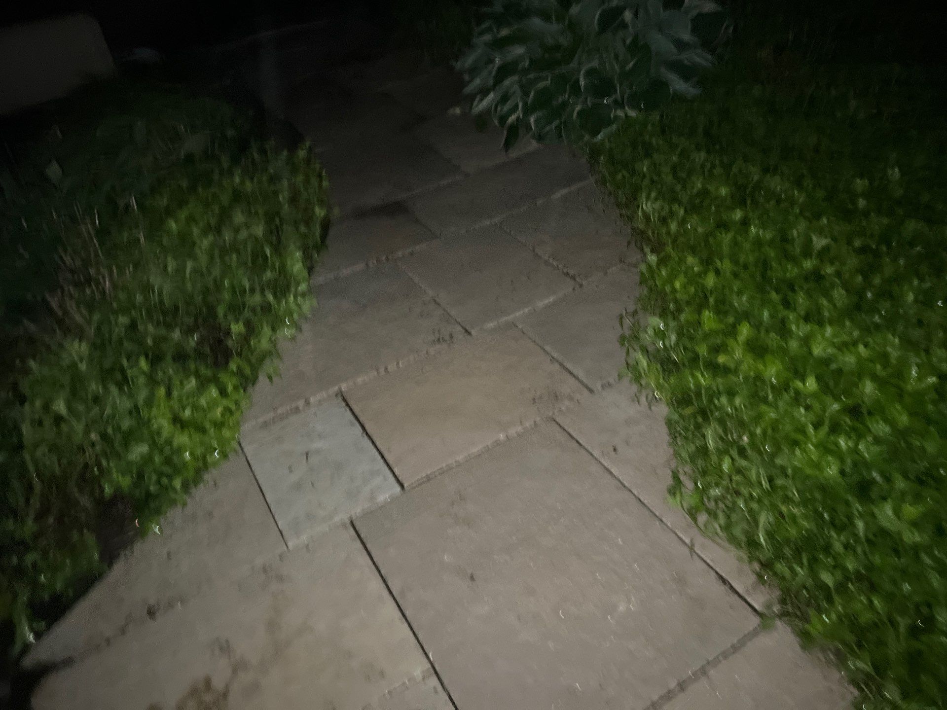 Brick paver clean, sand and seal.  using Algaecide, soft wash soap by Northern Power Washing LLC.