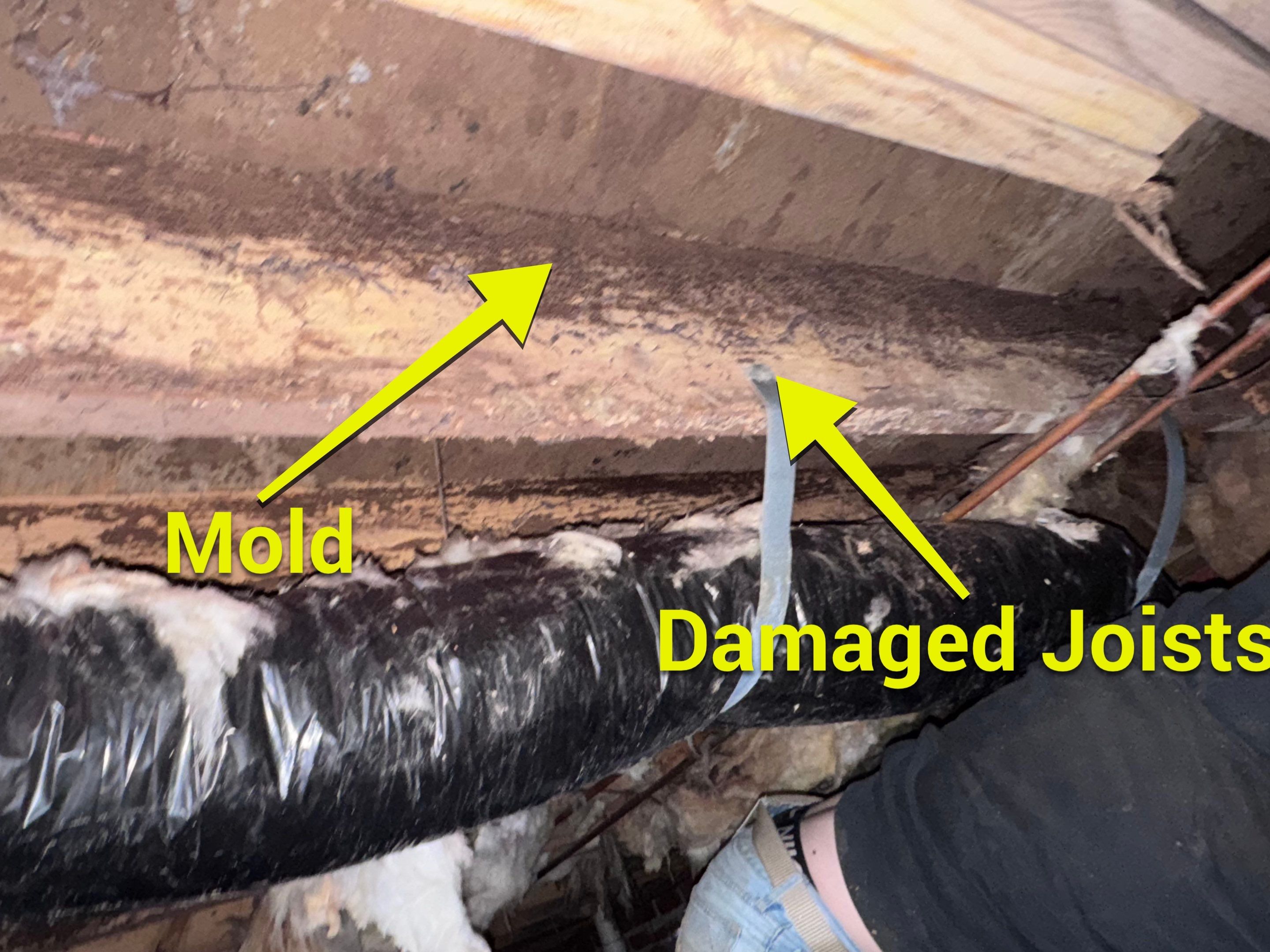 Structural Repairs inludiing sub-floor removal, new floor joists installed, girder replacmeent and dropped girder installed. by Impact Crawlspace