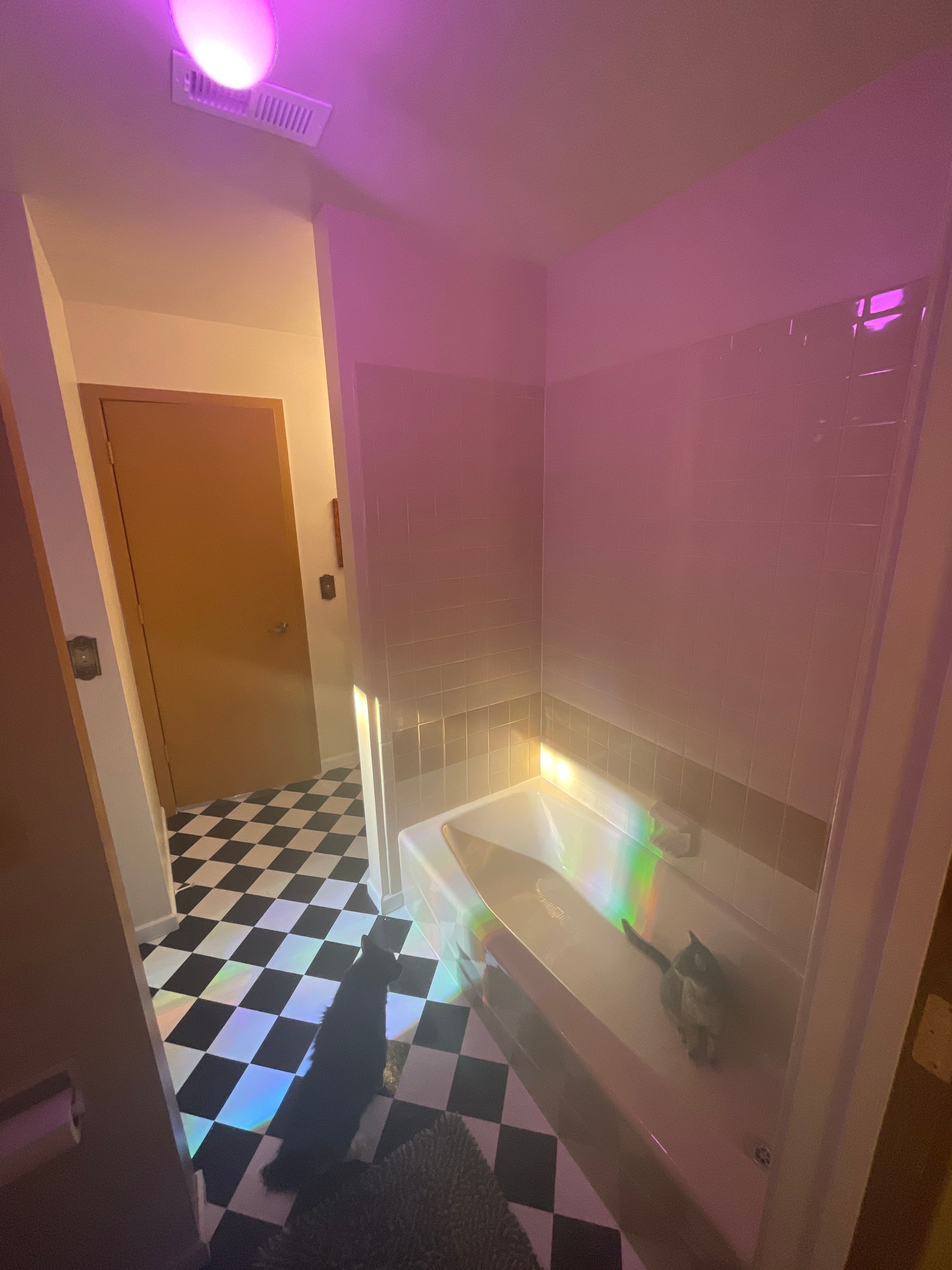 Bathroom Remodel using Tile & Paint by CompanyCam