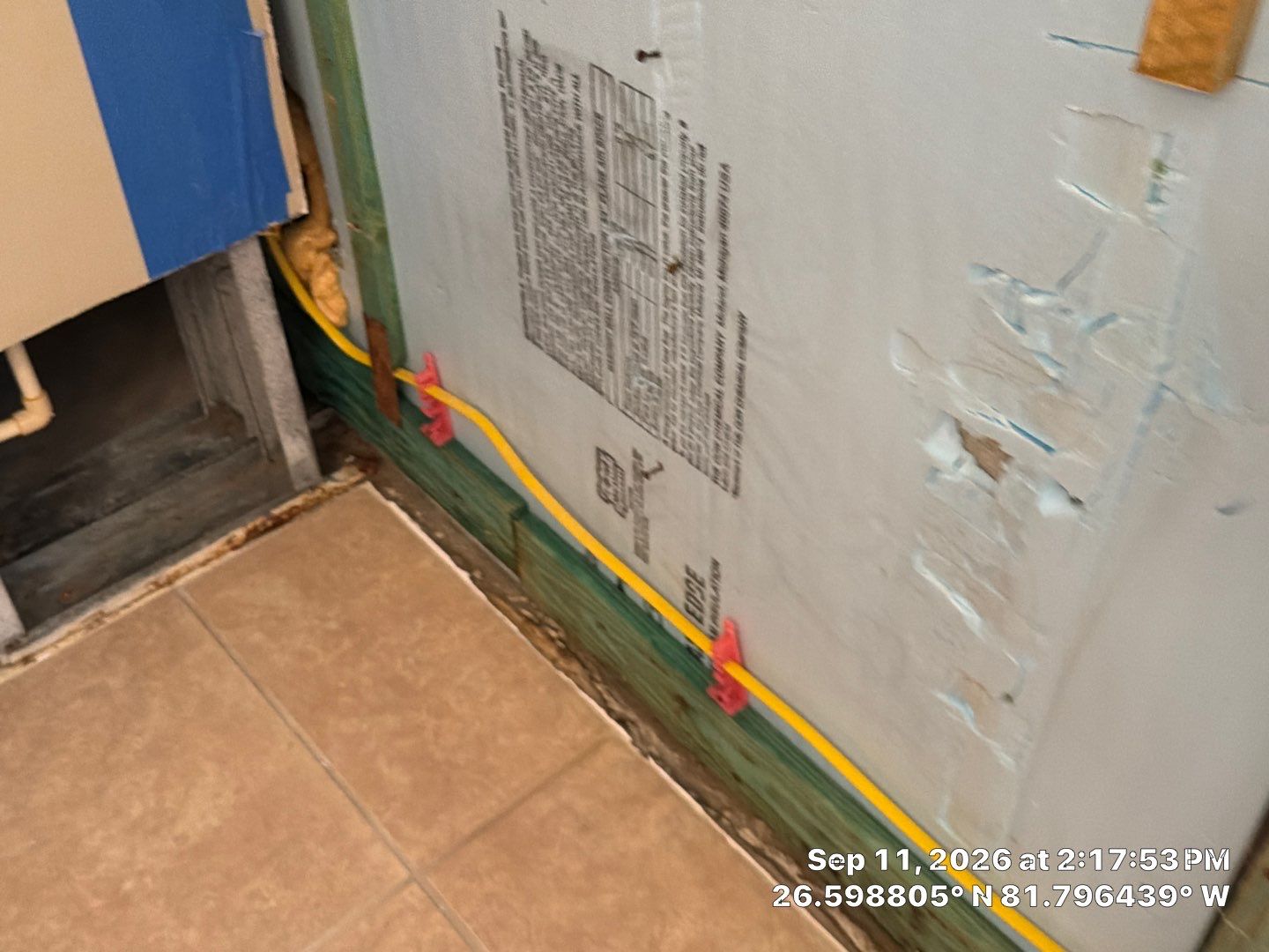Fort Myers Water Damage Restoration and Professional Mold Remediation by Microscope