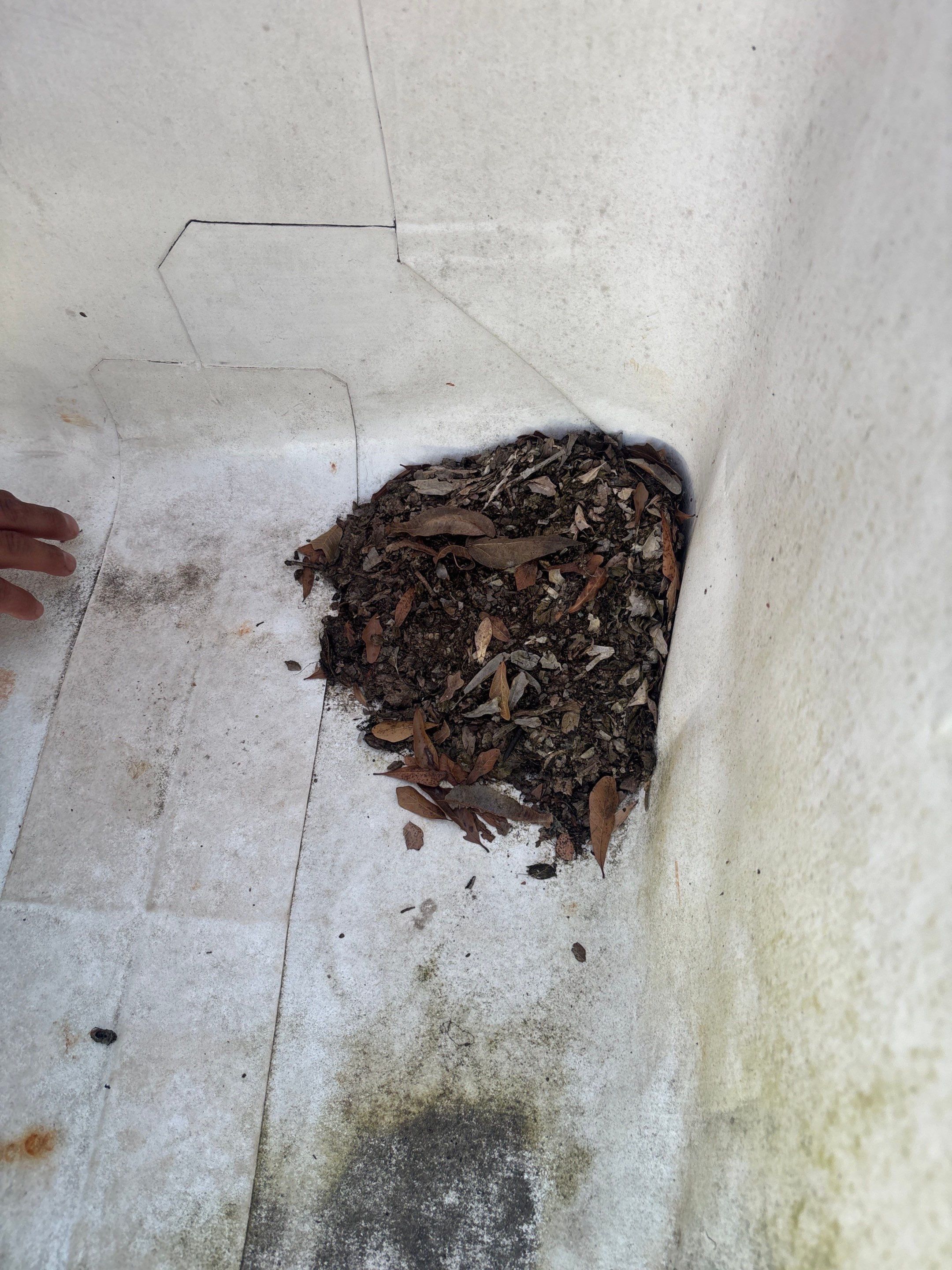 TPO  by Deerfield Roofing LLC