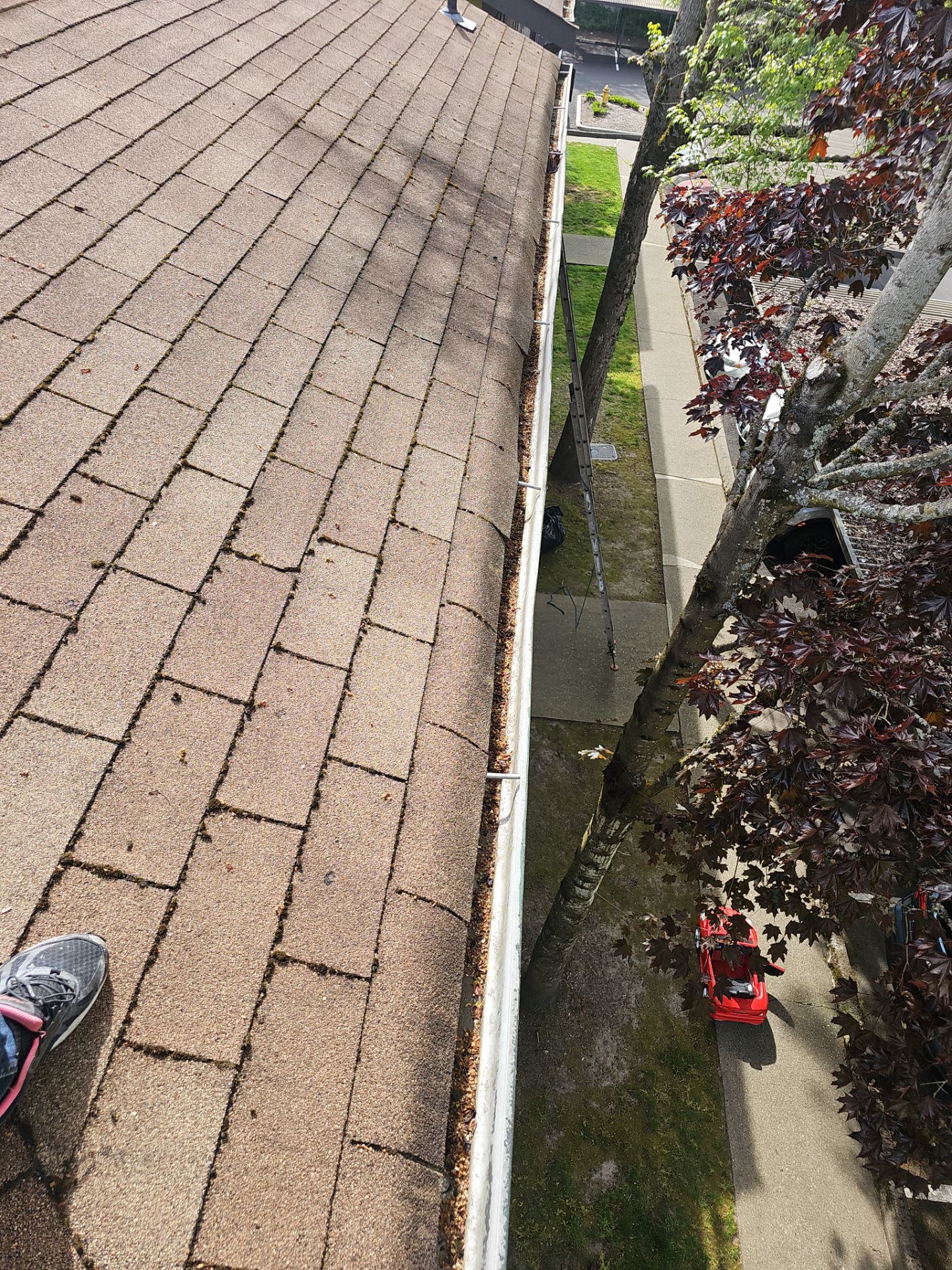 Commercial gutter cleaning Bellevue, WA before photo with filled gutters