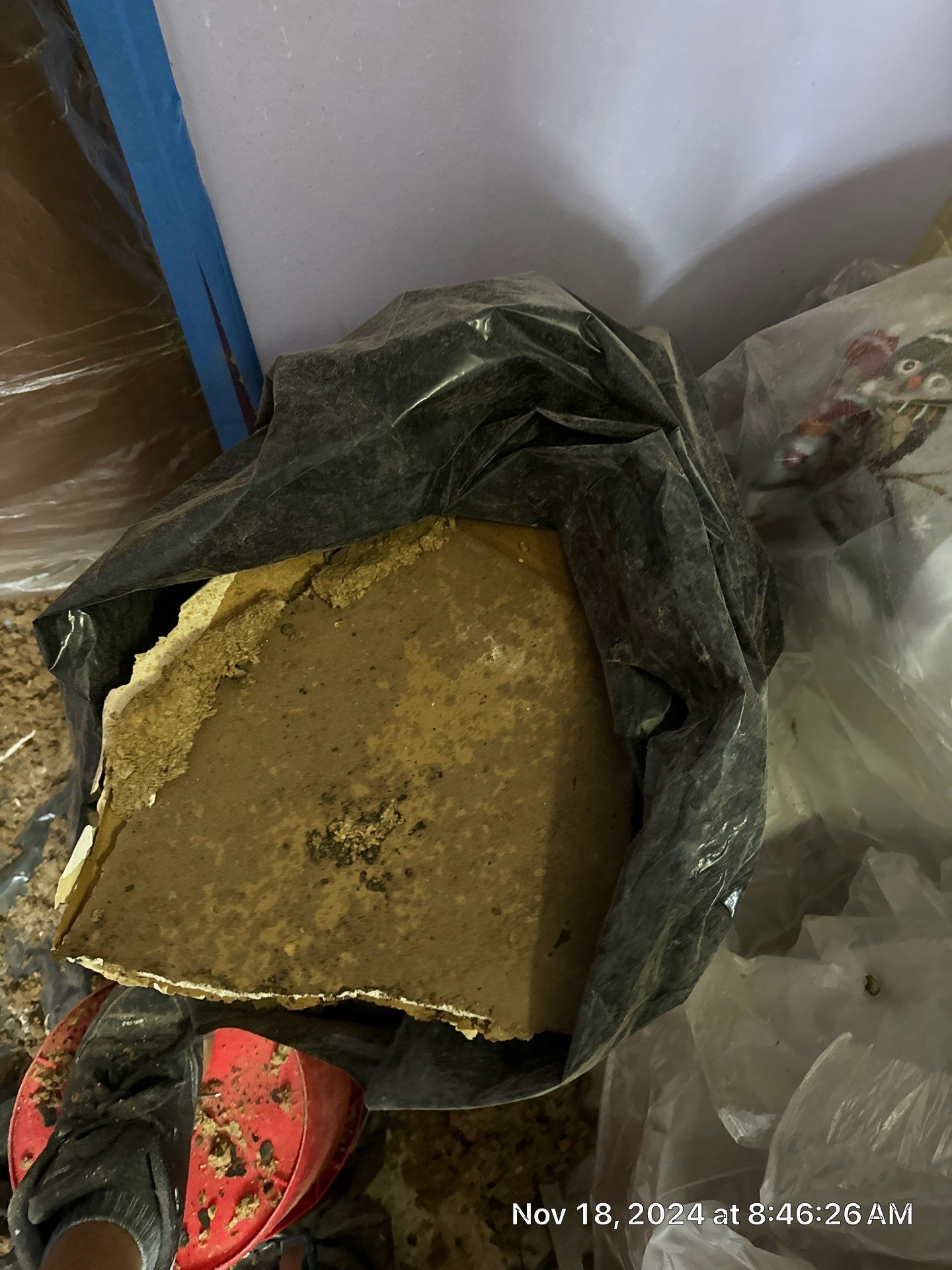 Mold Remediation by SuperClean