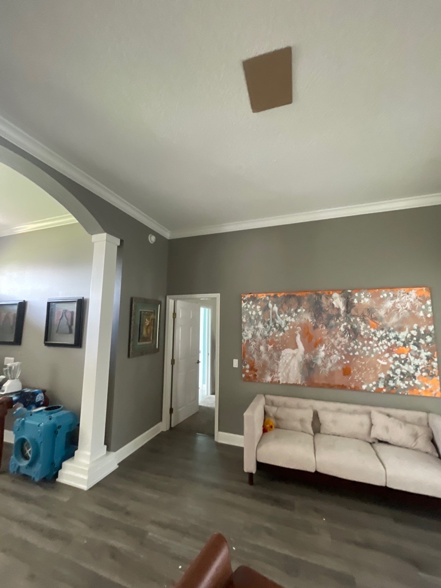 Air Duct Cleaning in Bartow by Hygienic Air, Inc