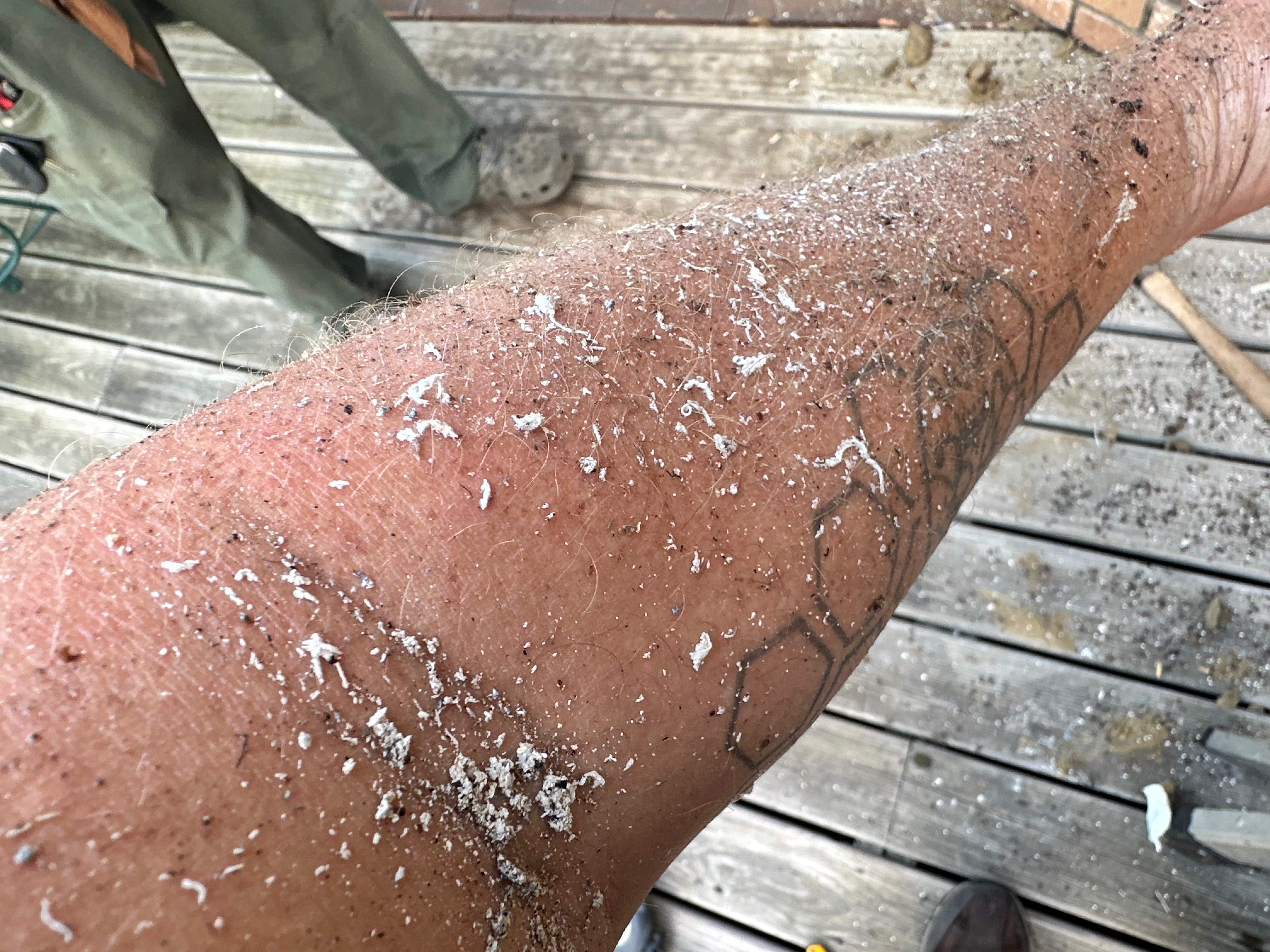 Caged Queen by Rockwall Honey Bee Company