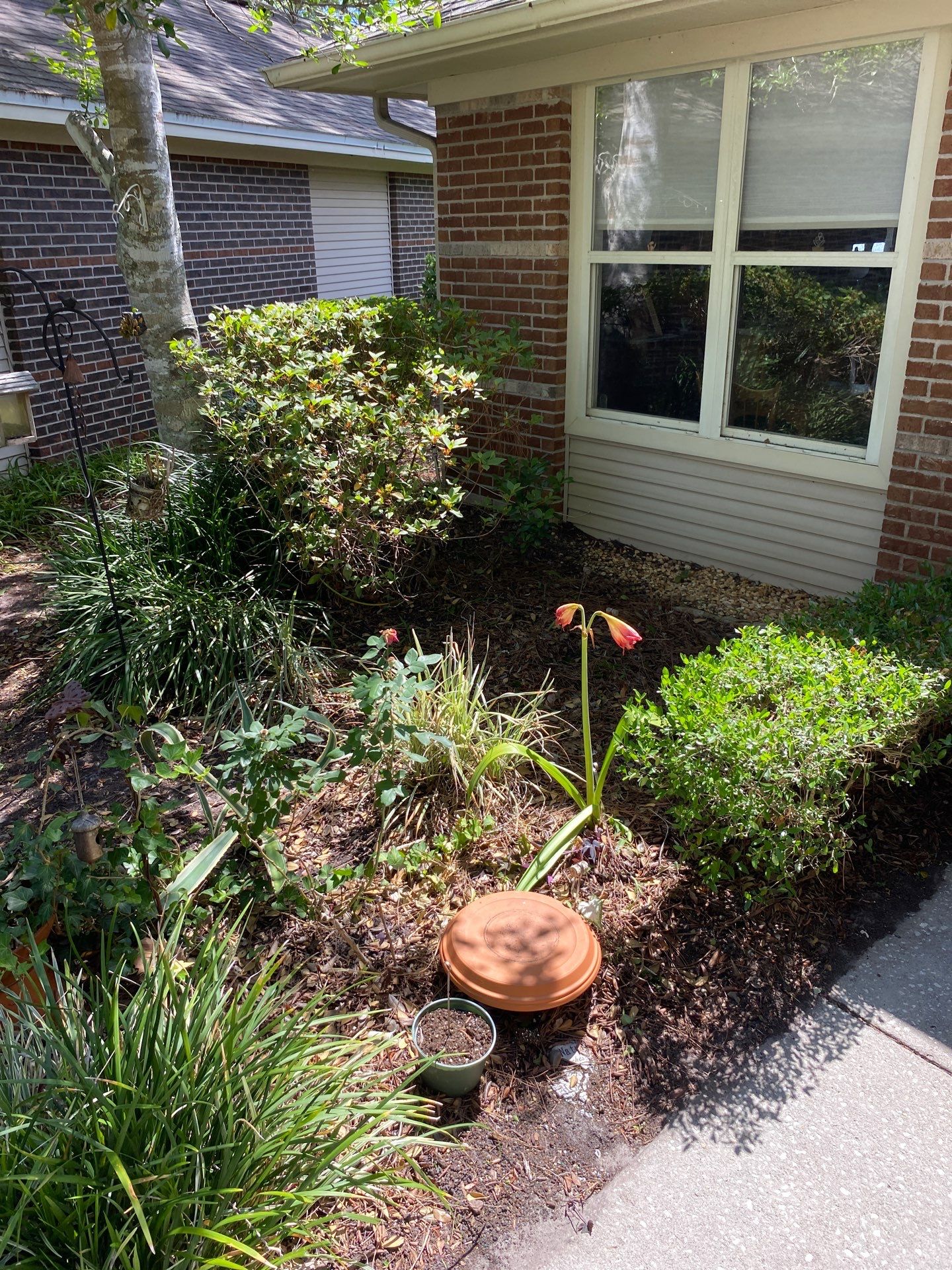 Residential | Volunteer Clean-Up by ProGreen Services