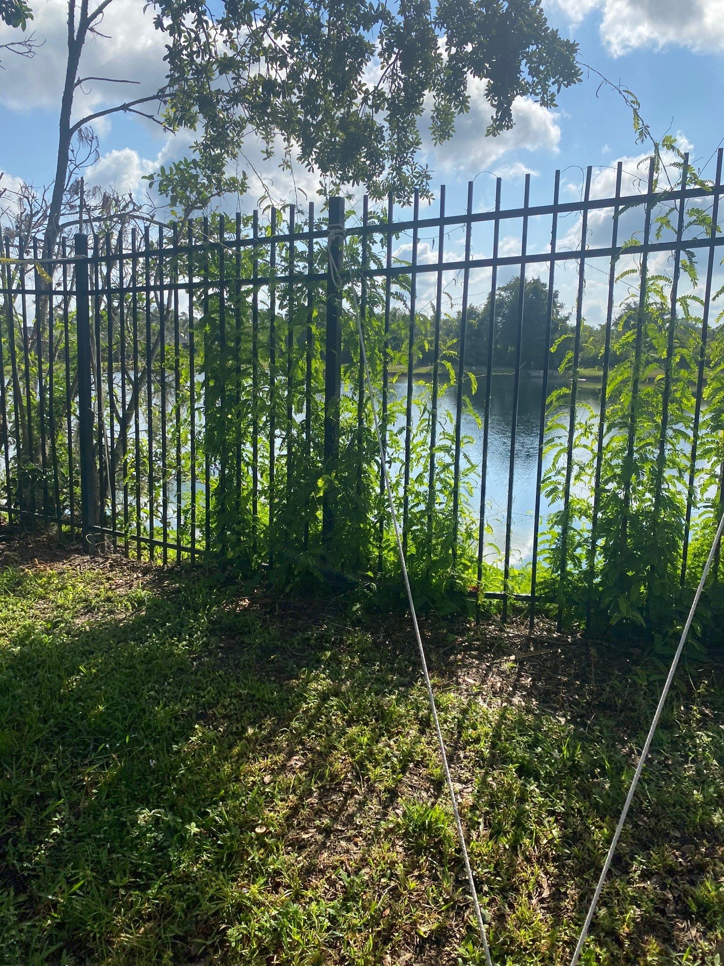 7900 Charleston St  by H&Y Fence