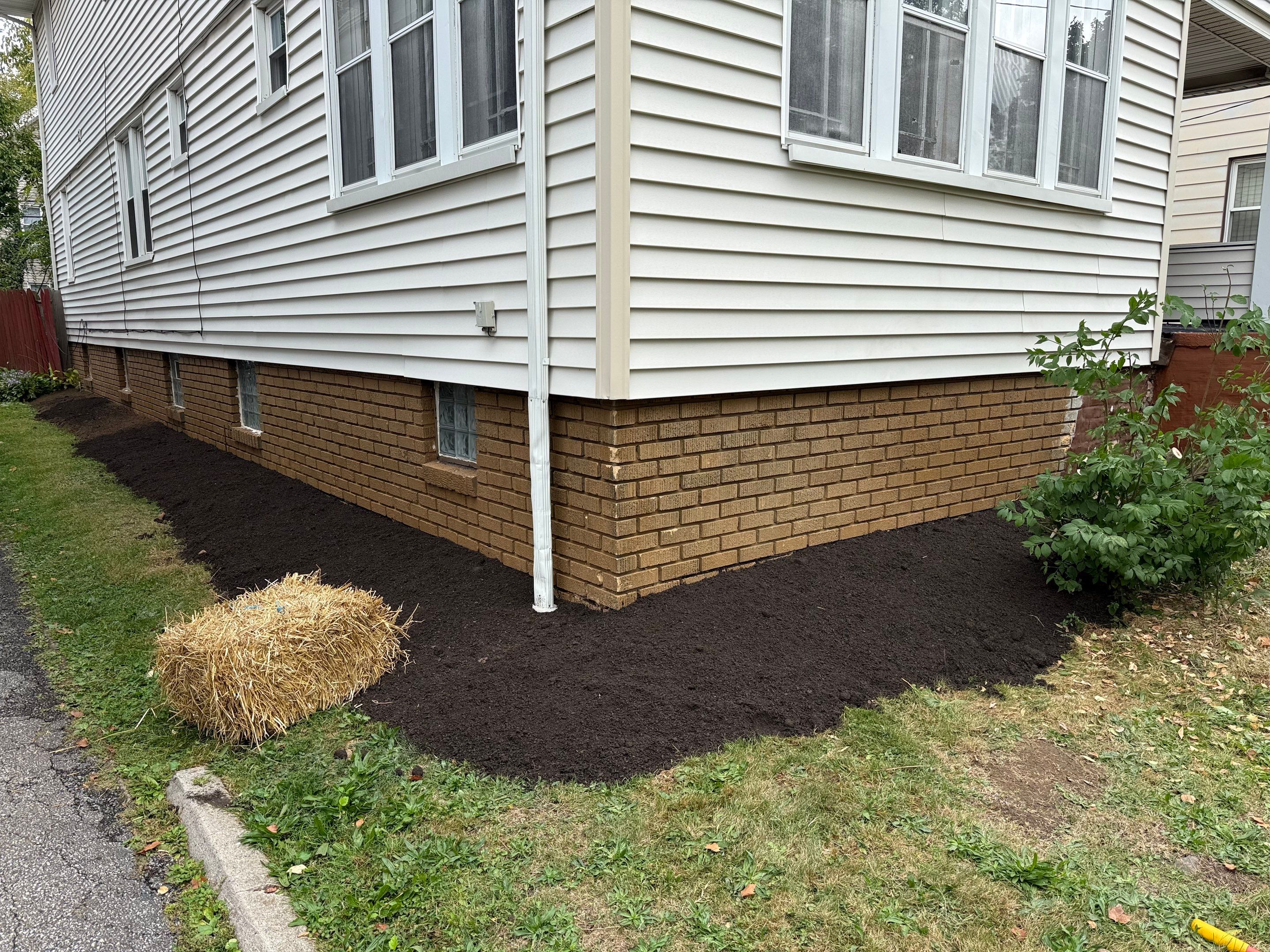 Shade Lawn Repair by Elm Rose Gardens