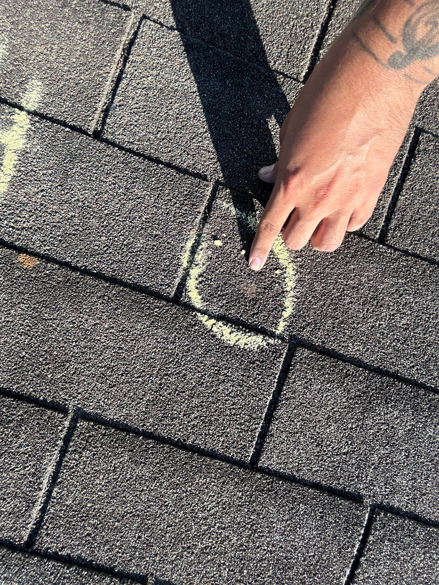 Miss Bridgette by REPS Austin Area Roofer