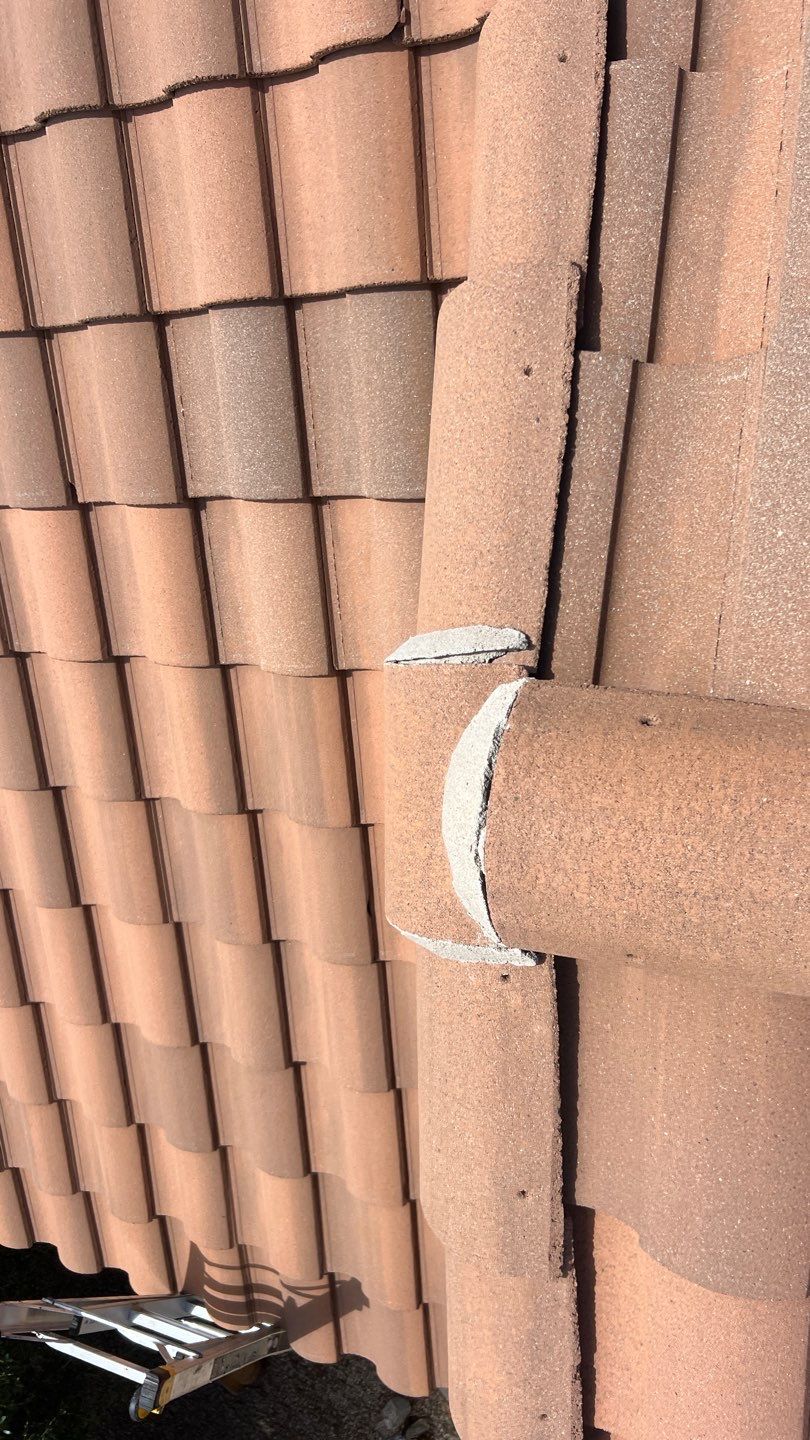 Terracota Concrete Tile by Reimagine Roofing
