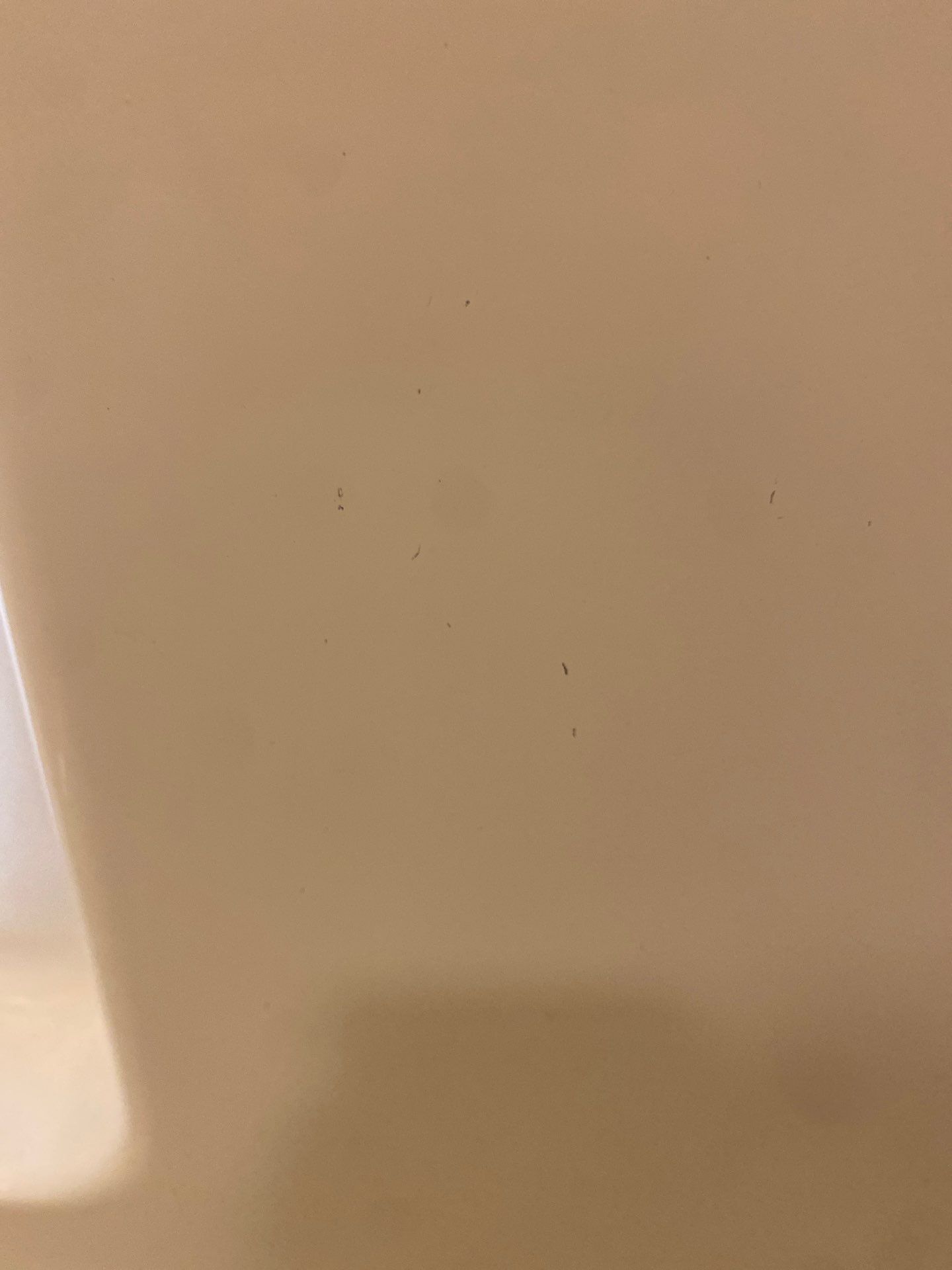 House cleaning routine maid service Project in Lake Oswego by Cloud 9 Professional Cleaning Services