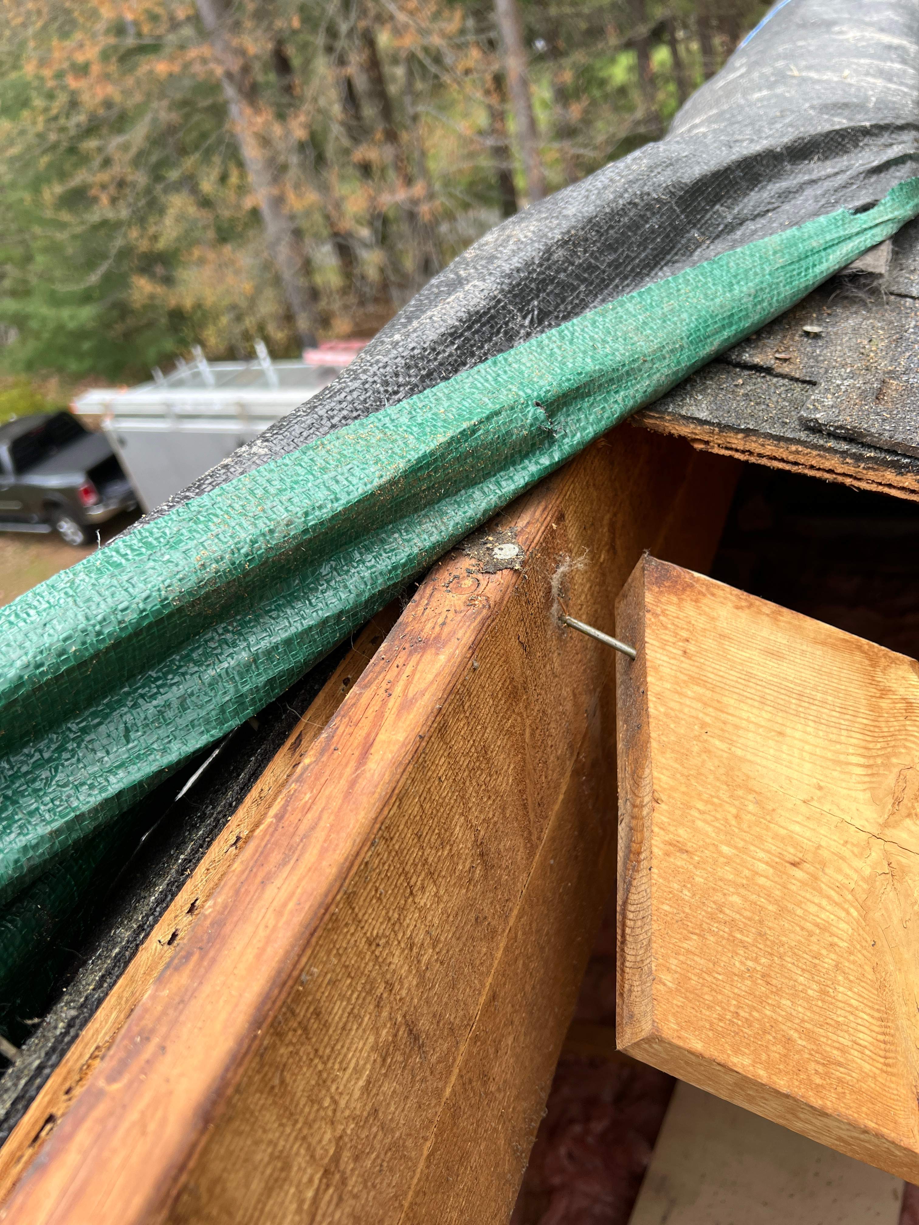 Tree Damage/Roof Repair by Chagnon Building & Remodeling LLC