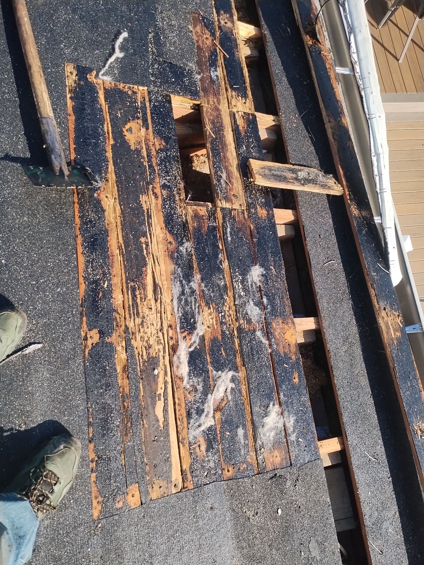 Project in St. Petersburg 33703 by Mitchell Roofing Company LLC