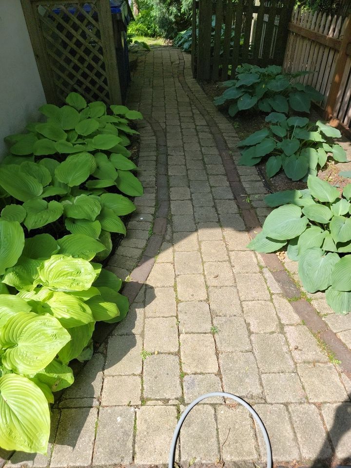 Glencoe, IL brick paver clean sand seal, repair, and reseal by Northern Power Washing LLC.
