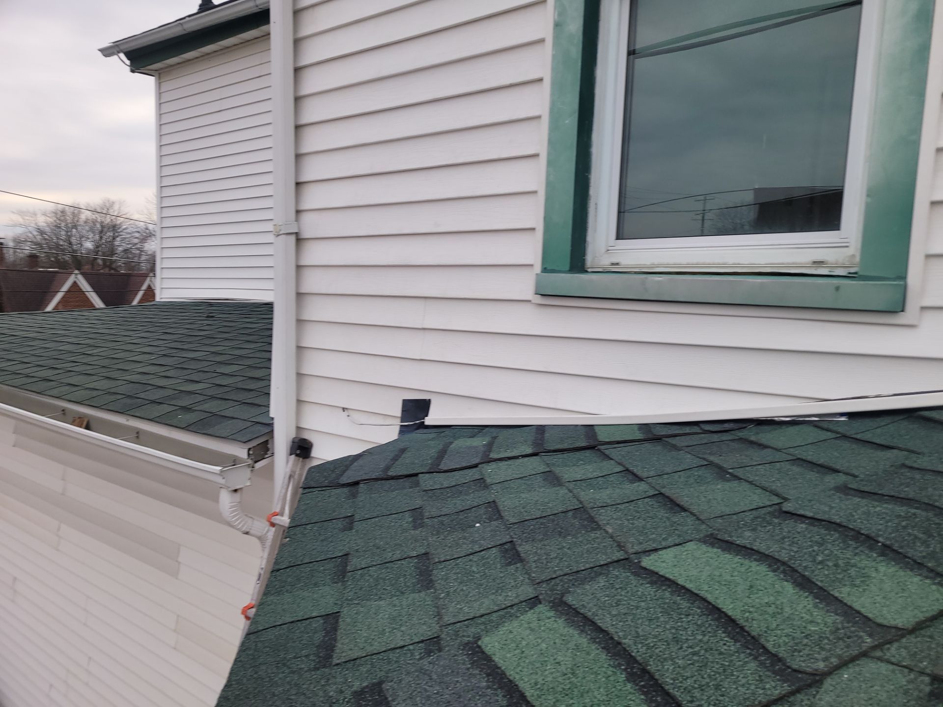 Allison Allsopt by Silver Leaf Contracting 
