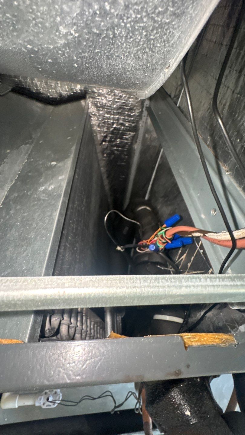 Air Duct Cleaning in Clermont by Hygienic Air, Inc