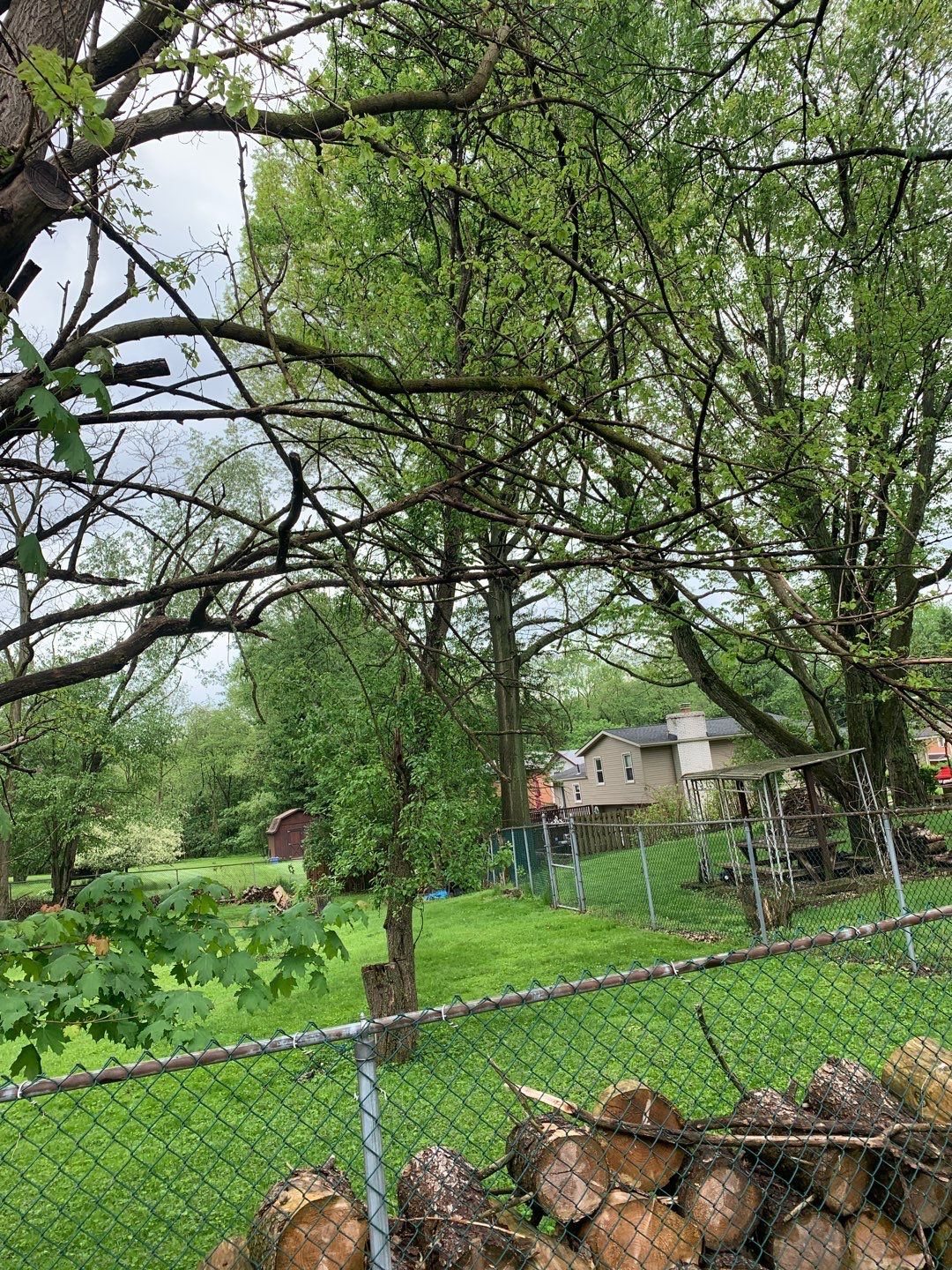 Tree Removal using Tree Removal by Mike Jones & Sons Tree Service LLC 