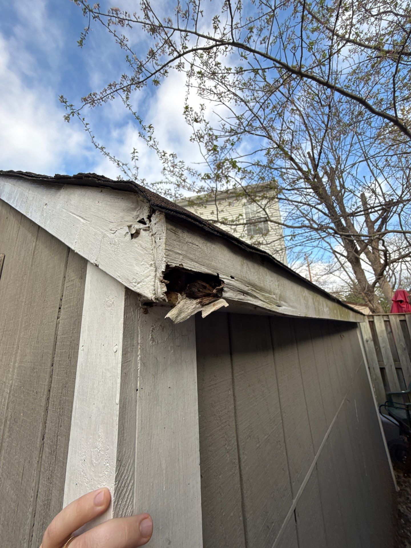 Exterior Repairs in Arlington, VA by My Painter 