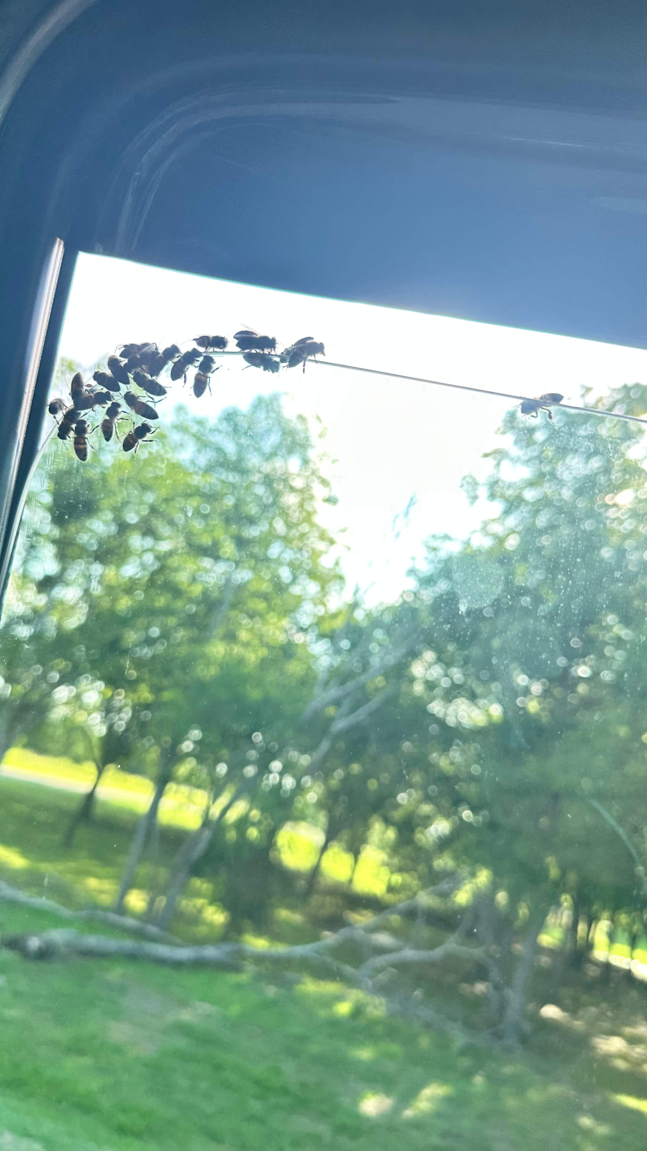 Irrigation Box by Rockwall Honey Bee Company