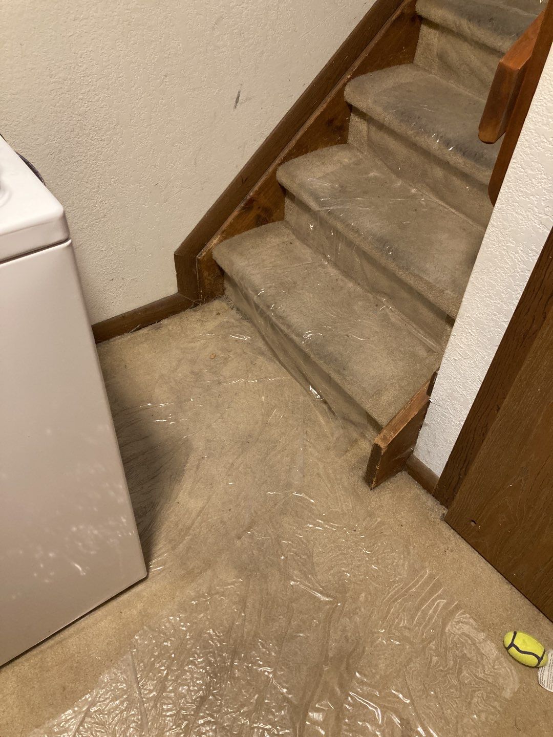 Mold Remediation in Bathroom by Accountable Home Services