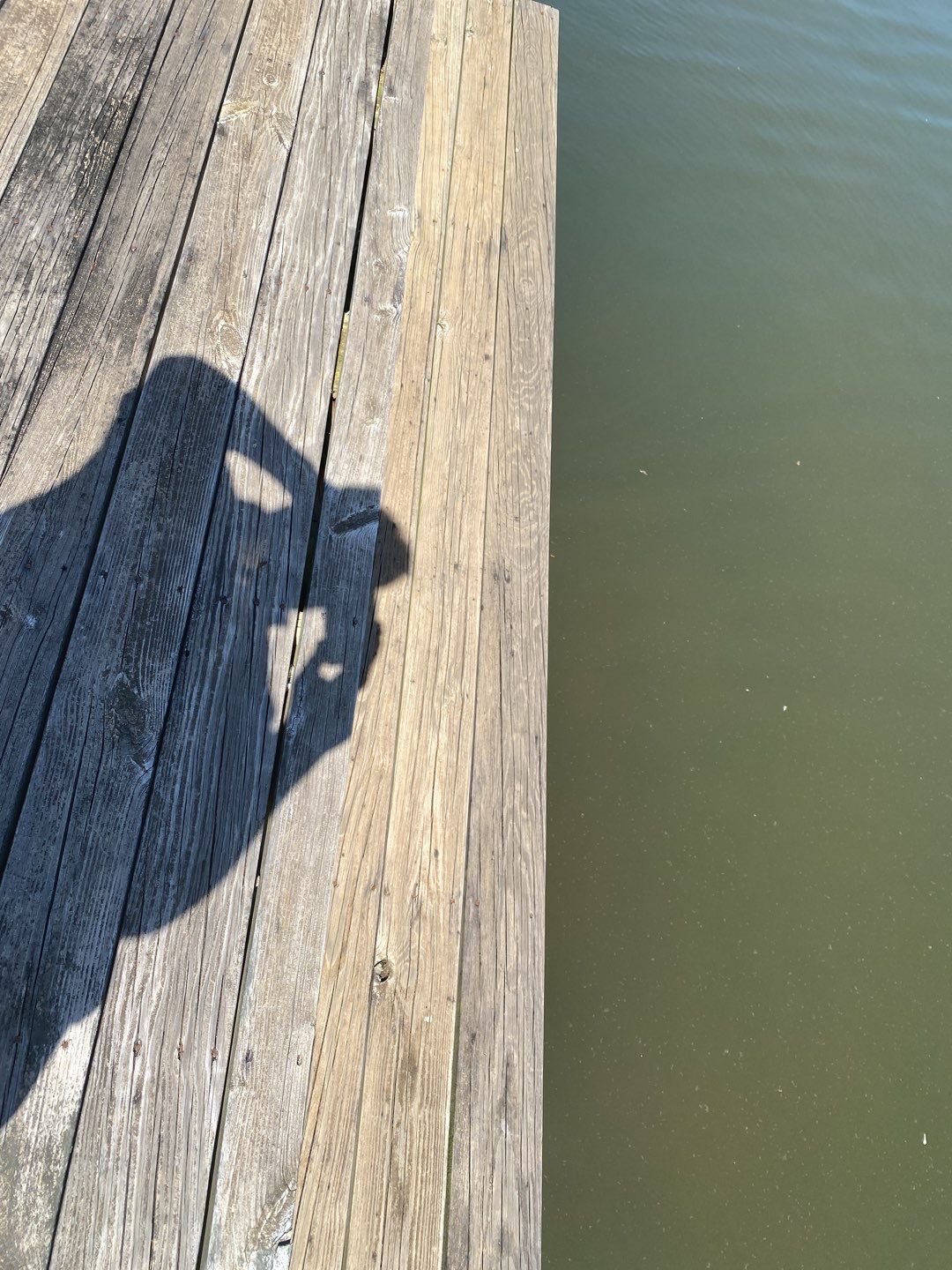 Dock using Wood Sealant by DuraSeal