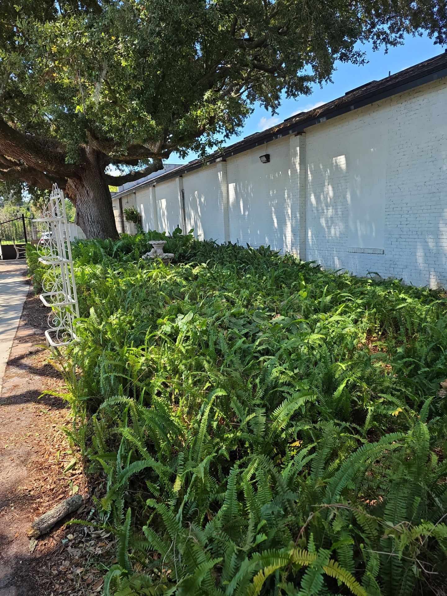 Commercial Property | Clean Up & Tree Removal by ProGreen Services