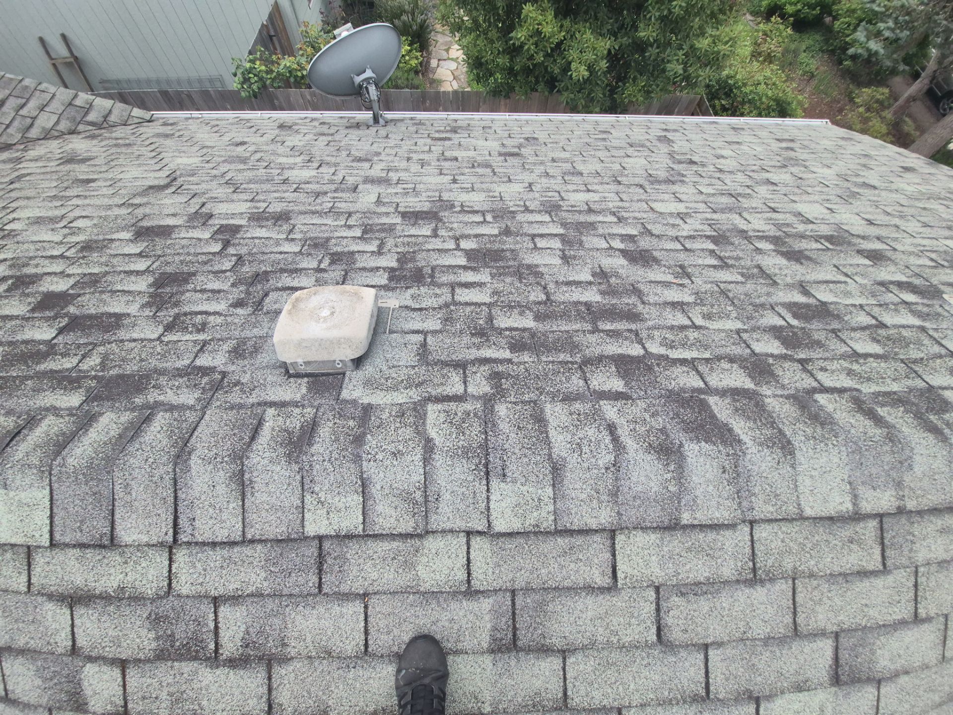 Project in Philomath by Alamo Roofing