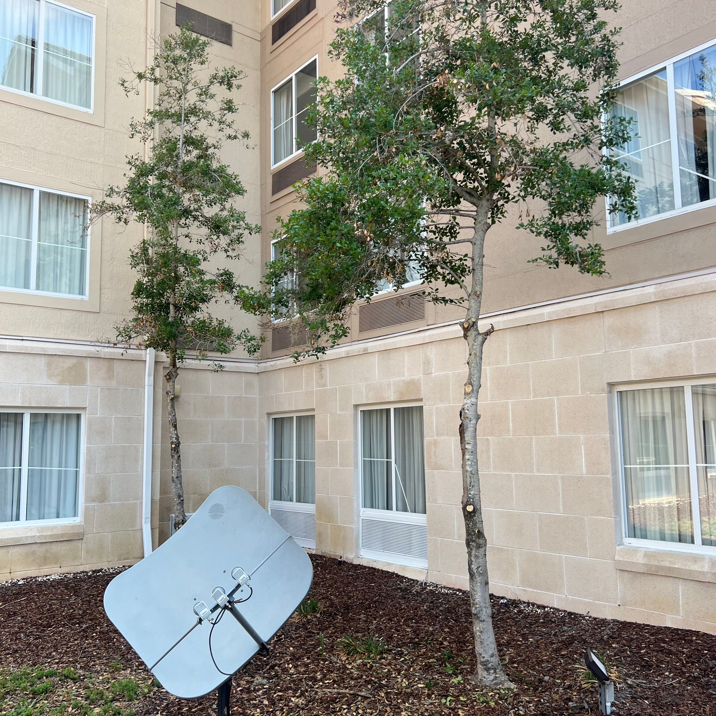 Homewood Suites | Tree Service by ProGreen Services