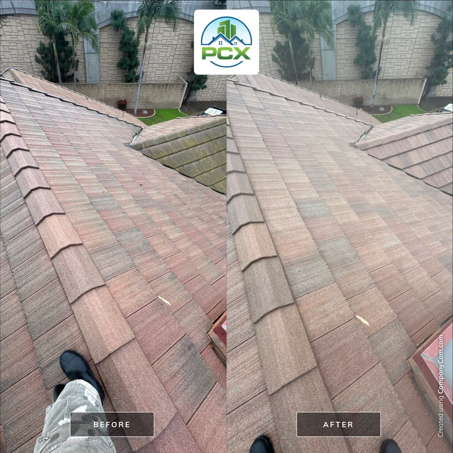 Roof wash in Placentia, CA by Property Cleaning Experts, LLC